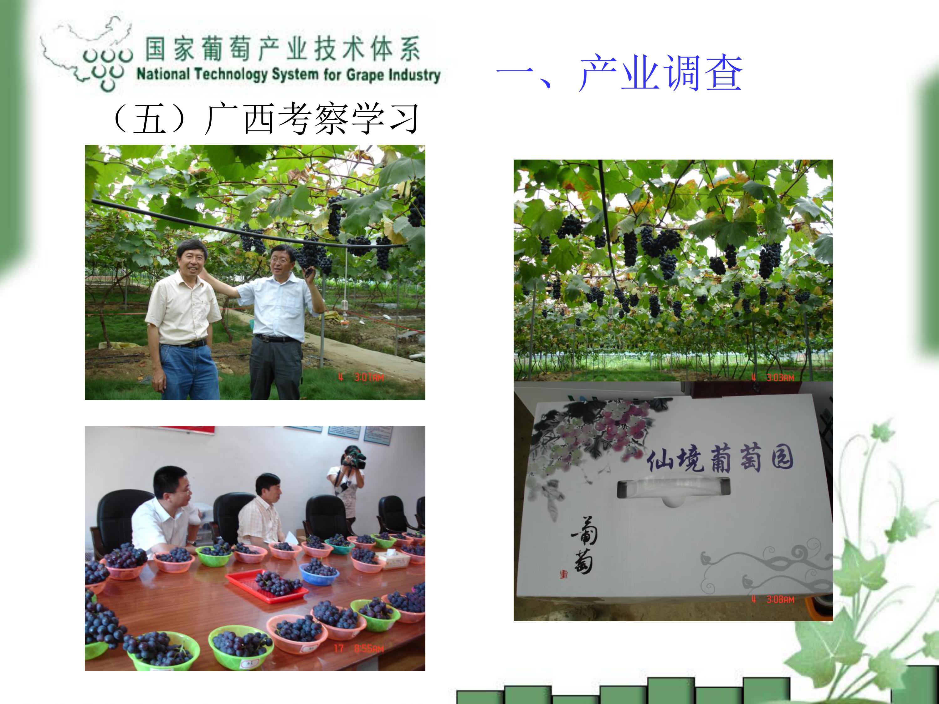 image-0007