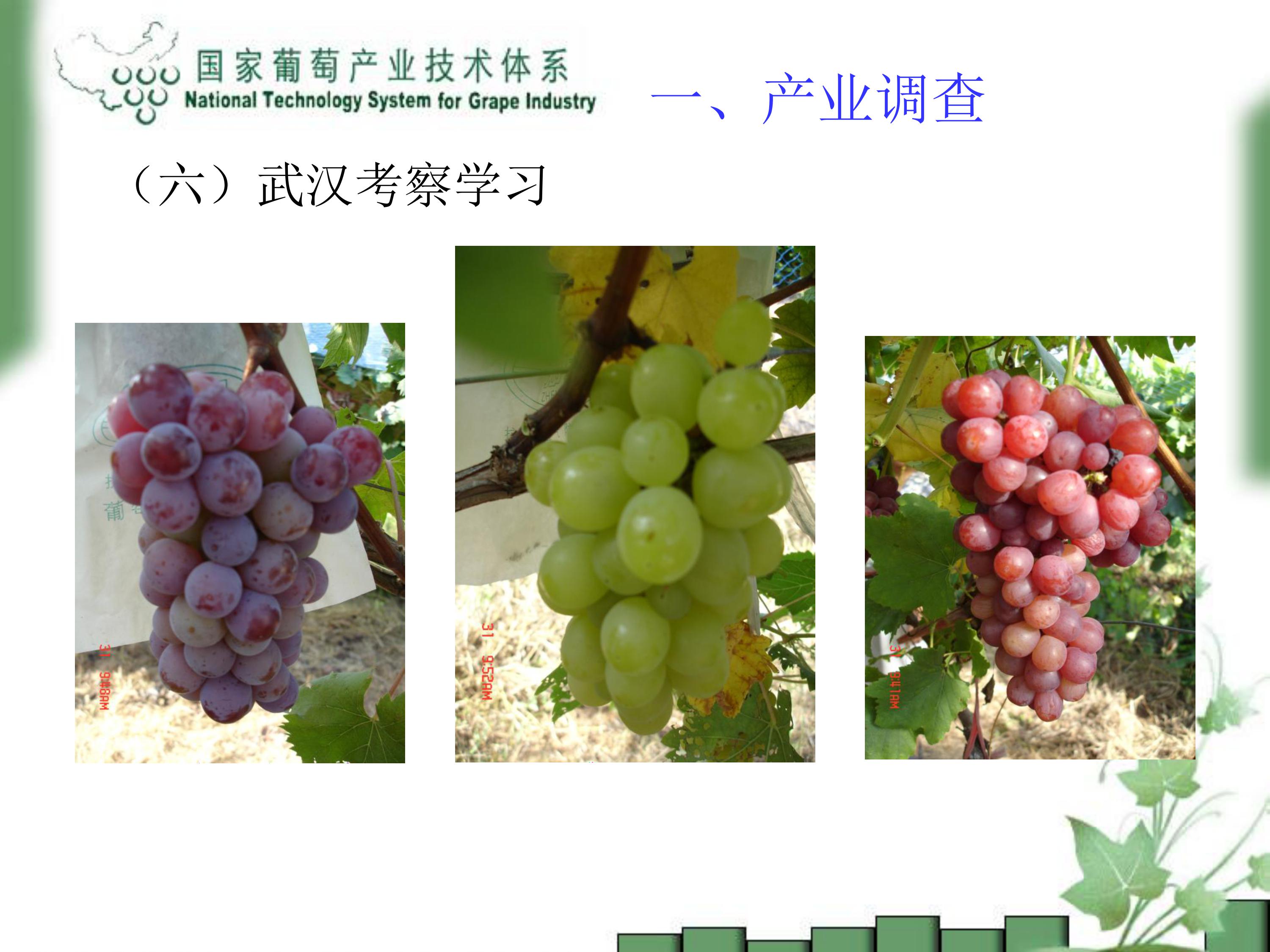 image-0008