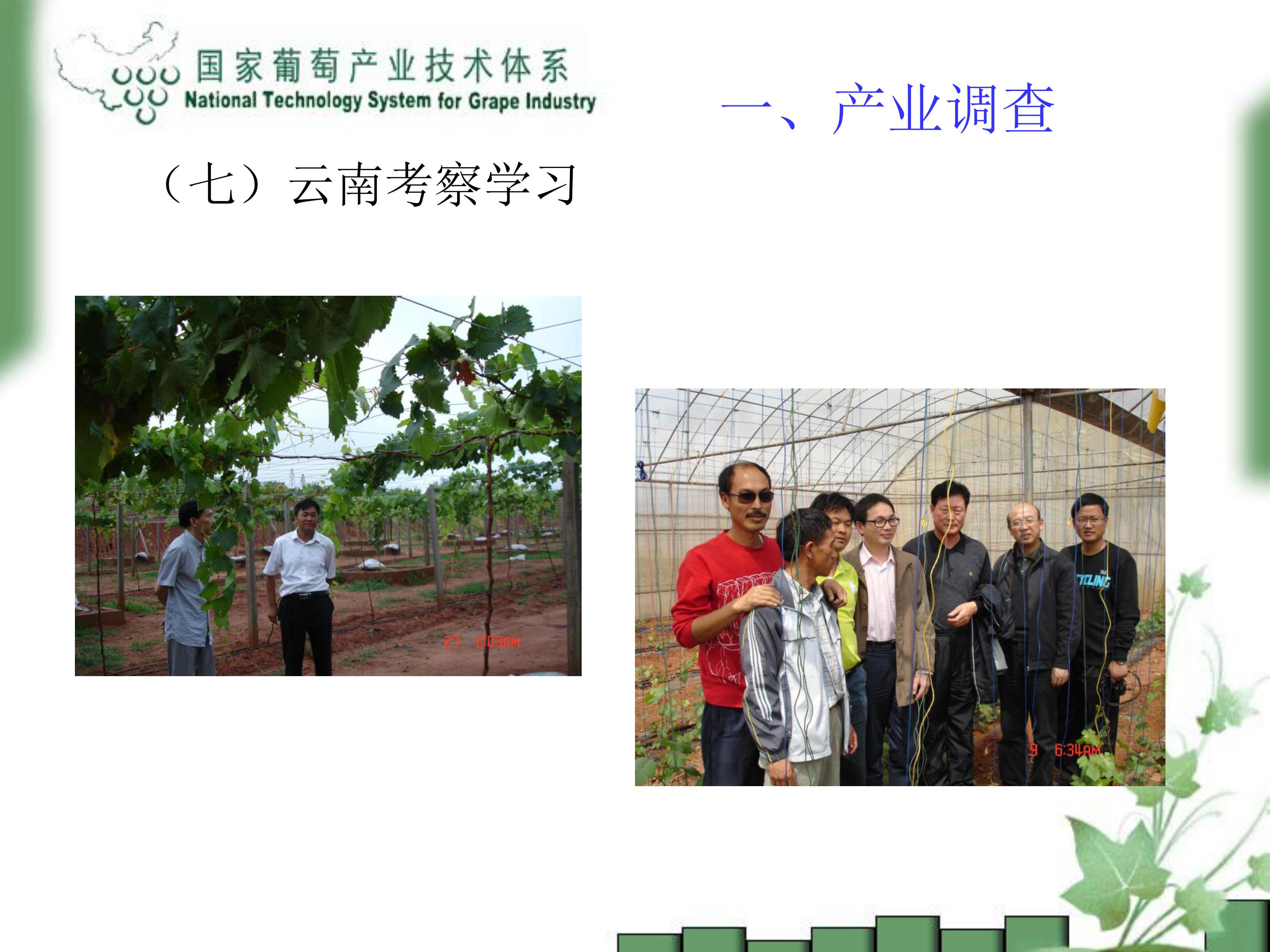 image-0009