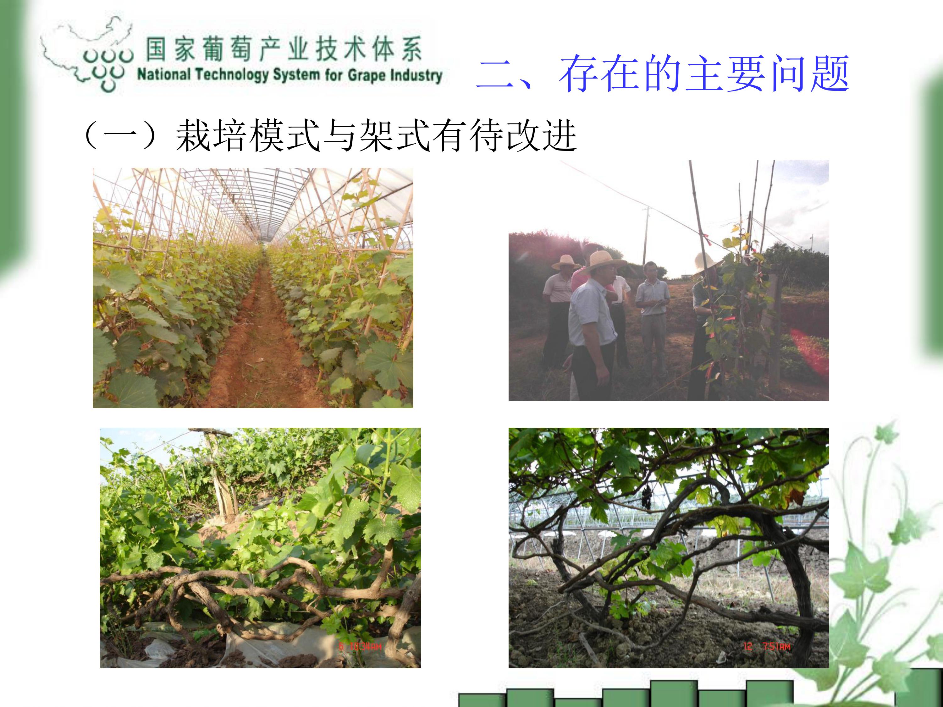 image-0010