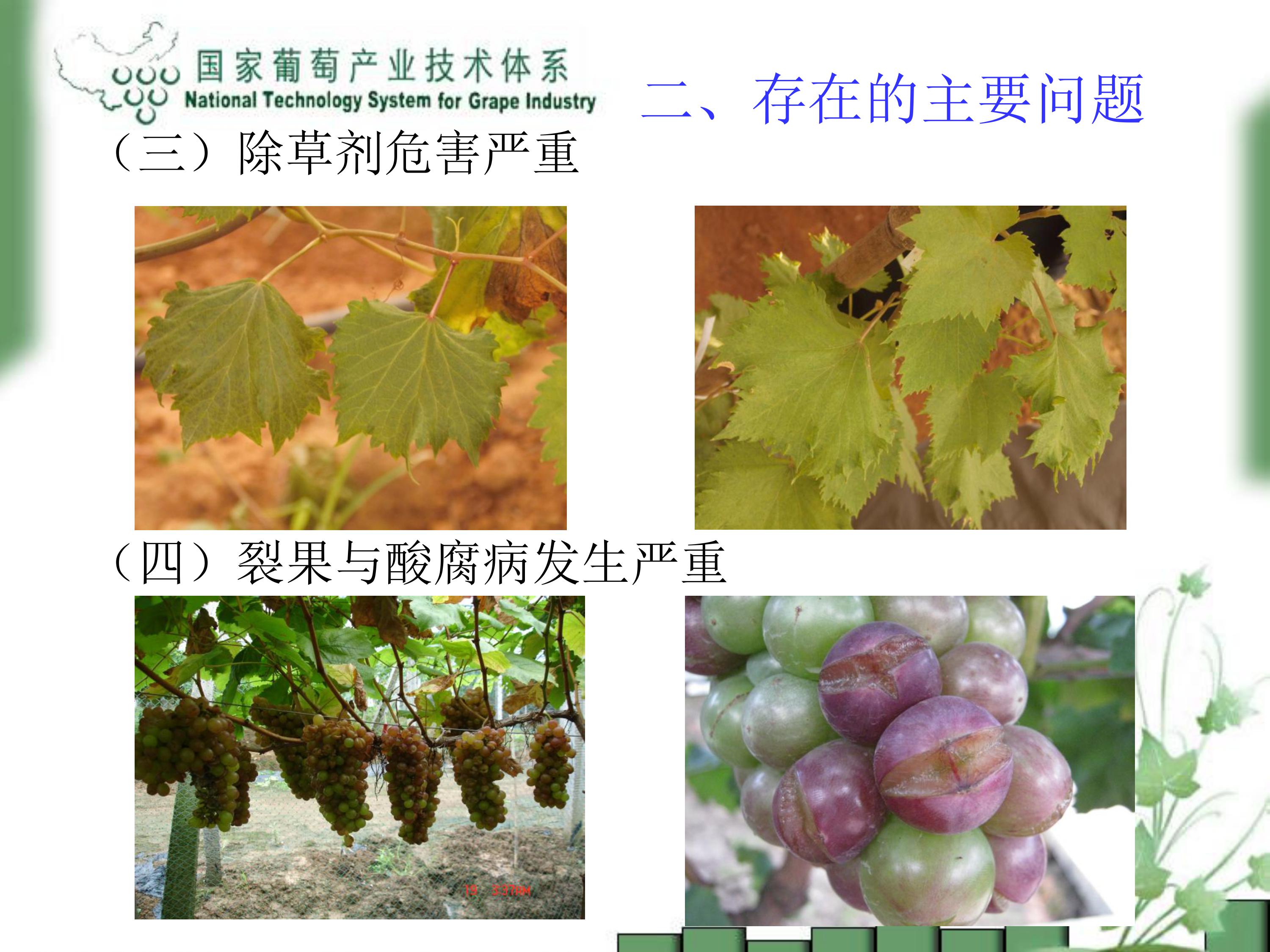 image-0012