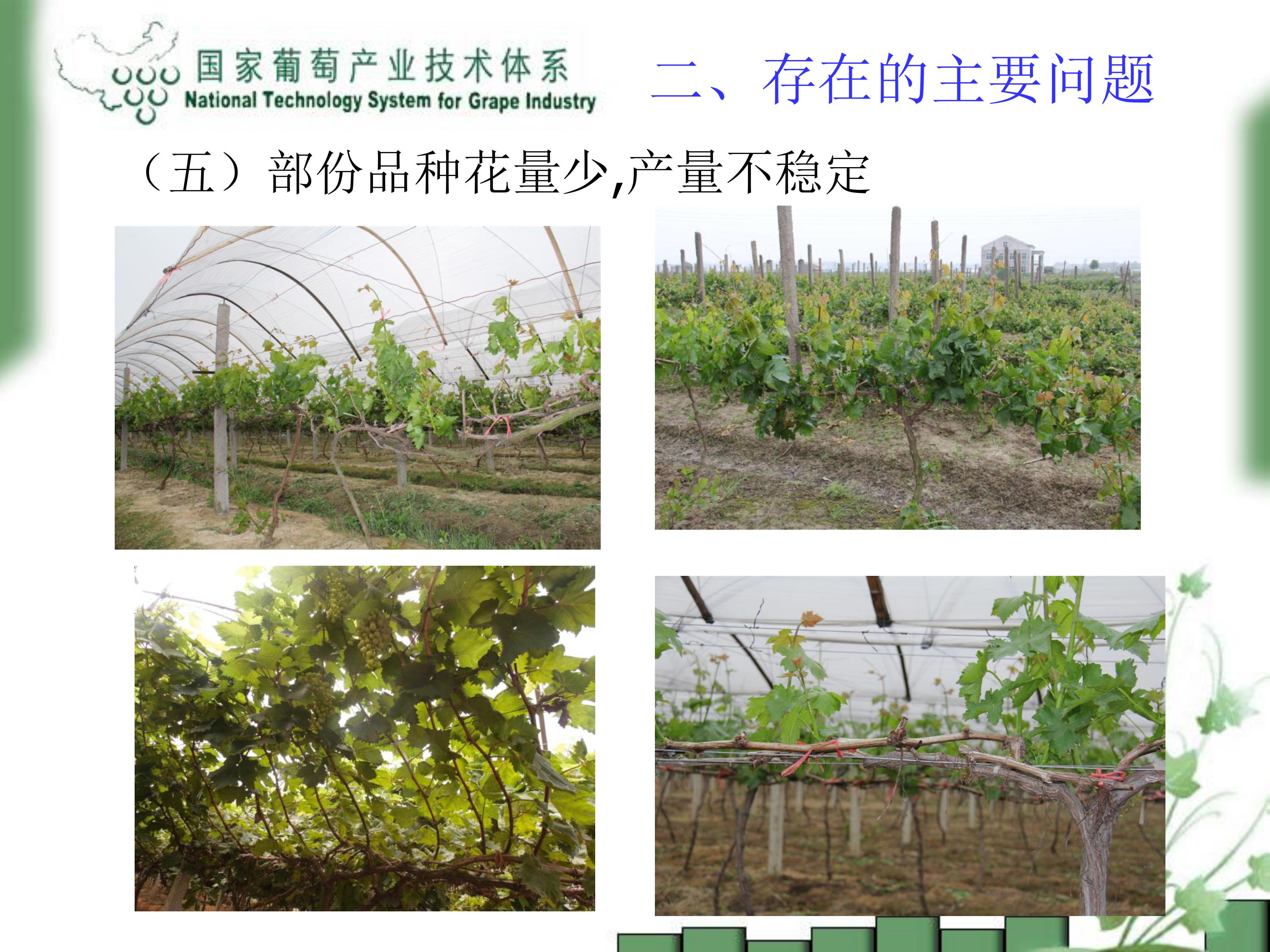 image-0013