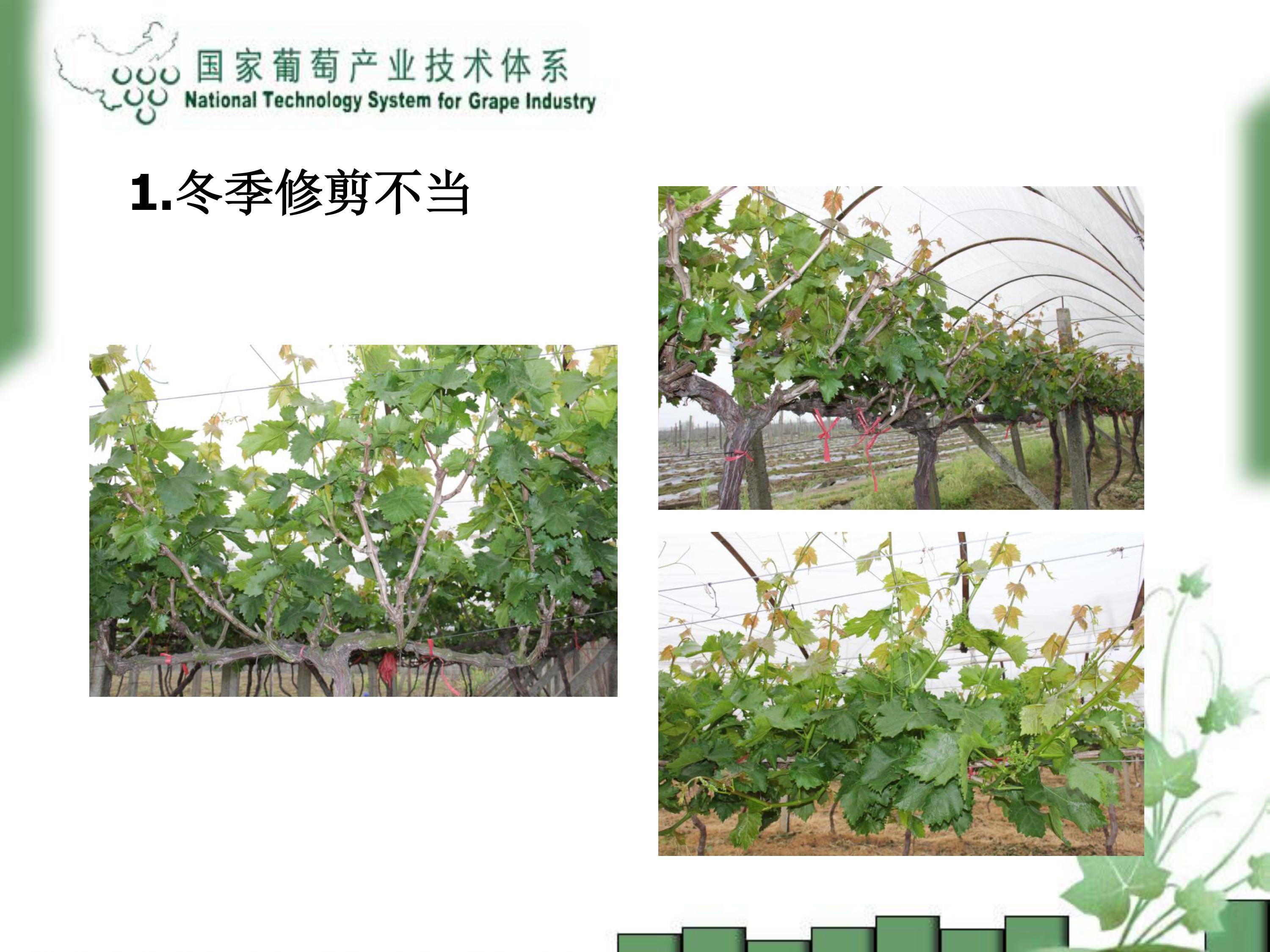image-0014