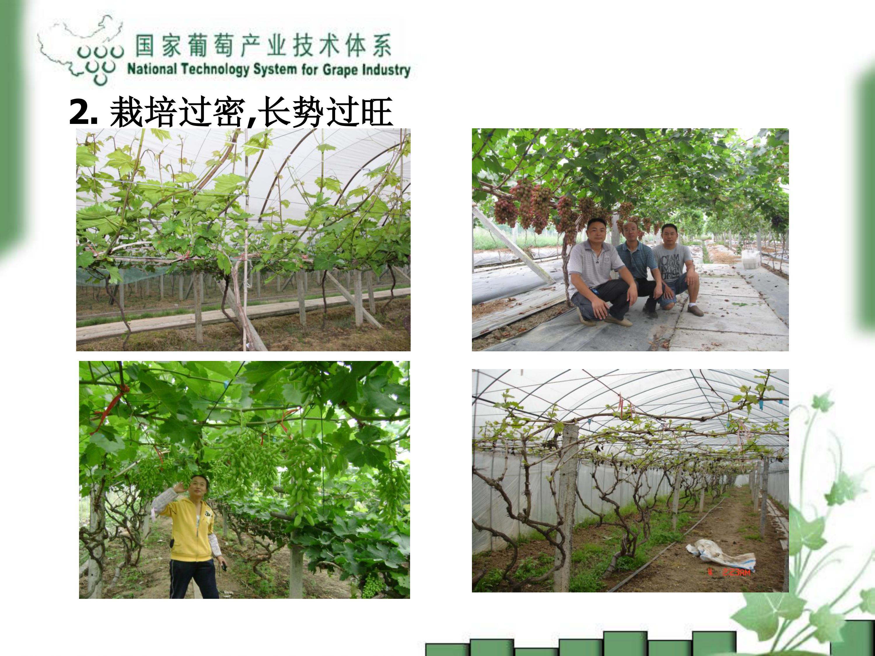 image-0015