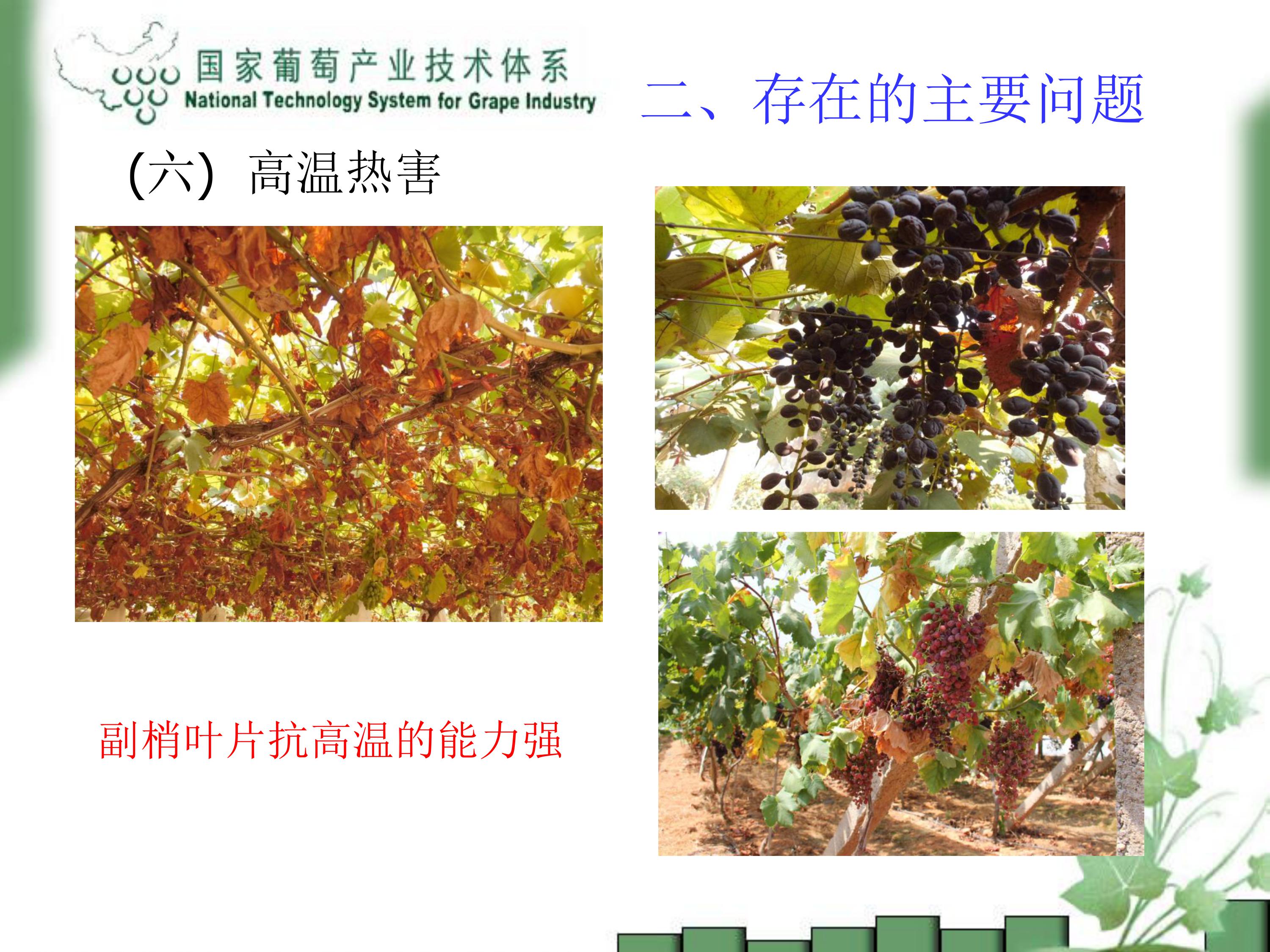 image-0017
