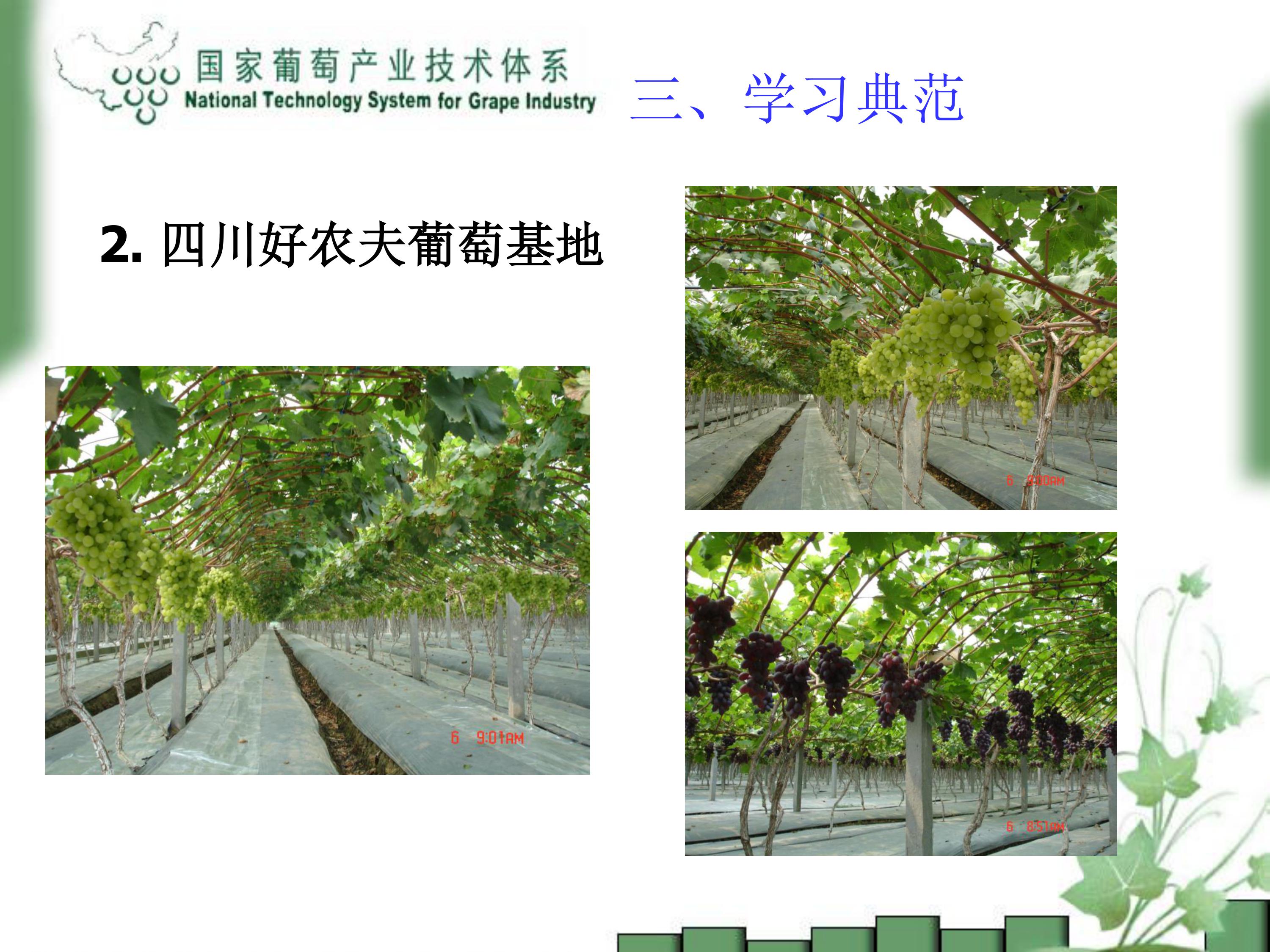 image-0019