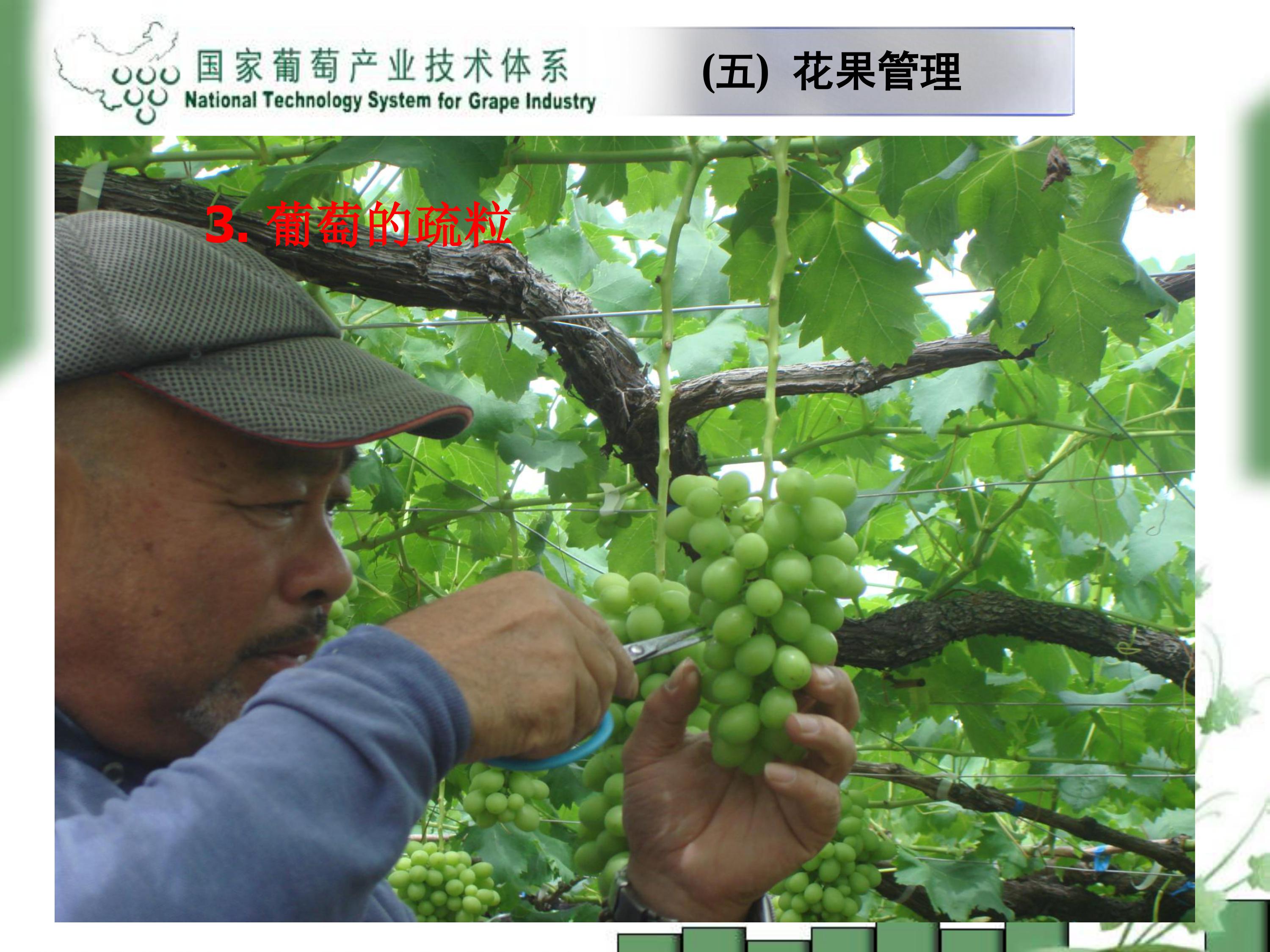image-0032