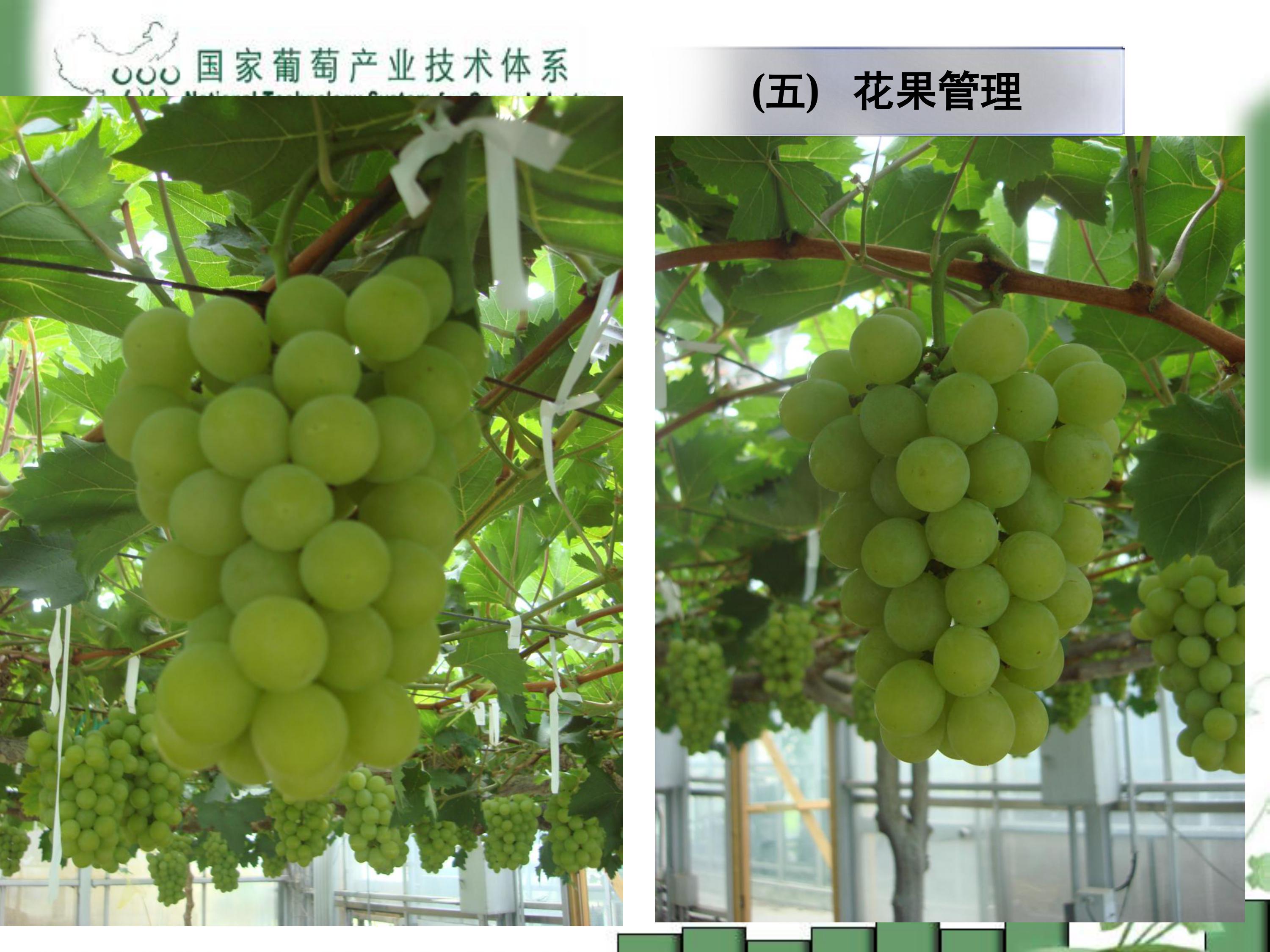 image-0033