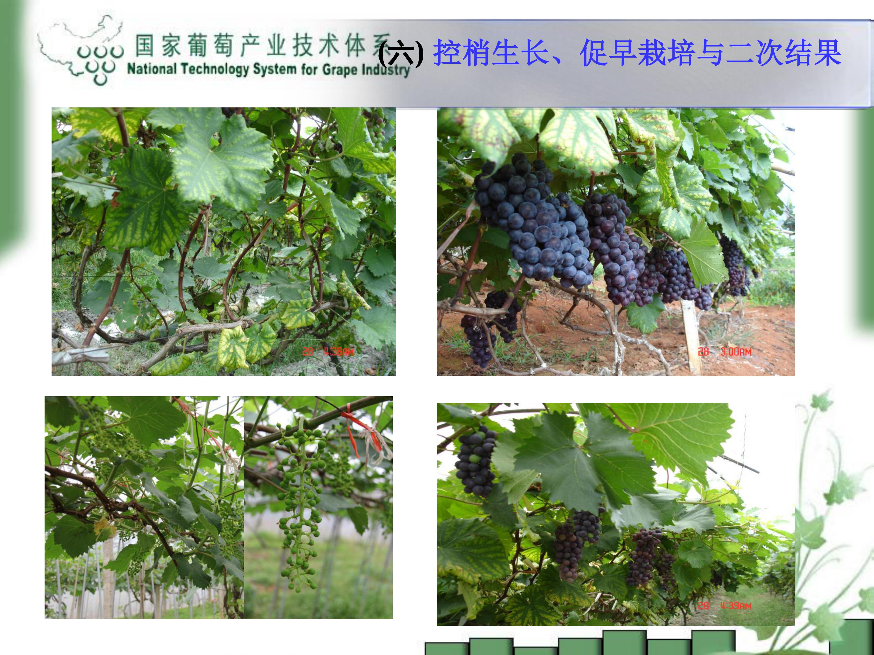 image-0036