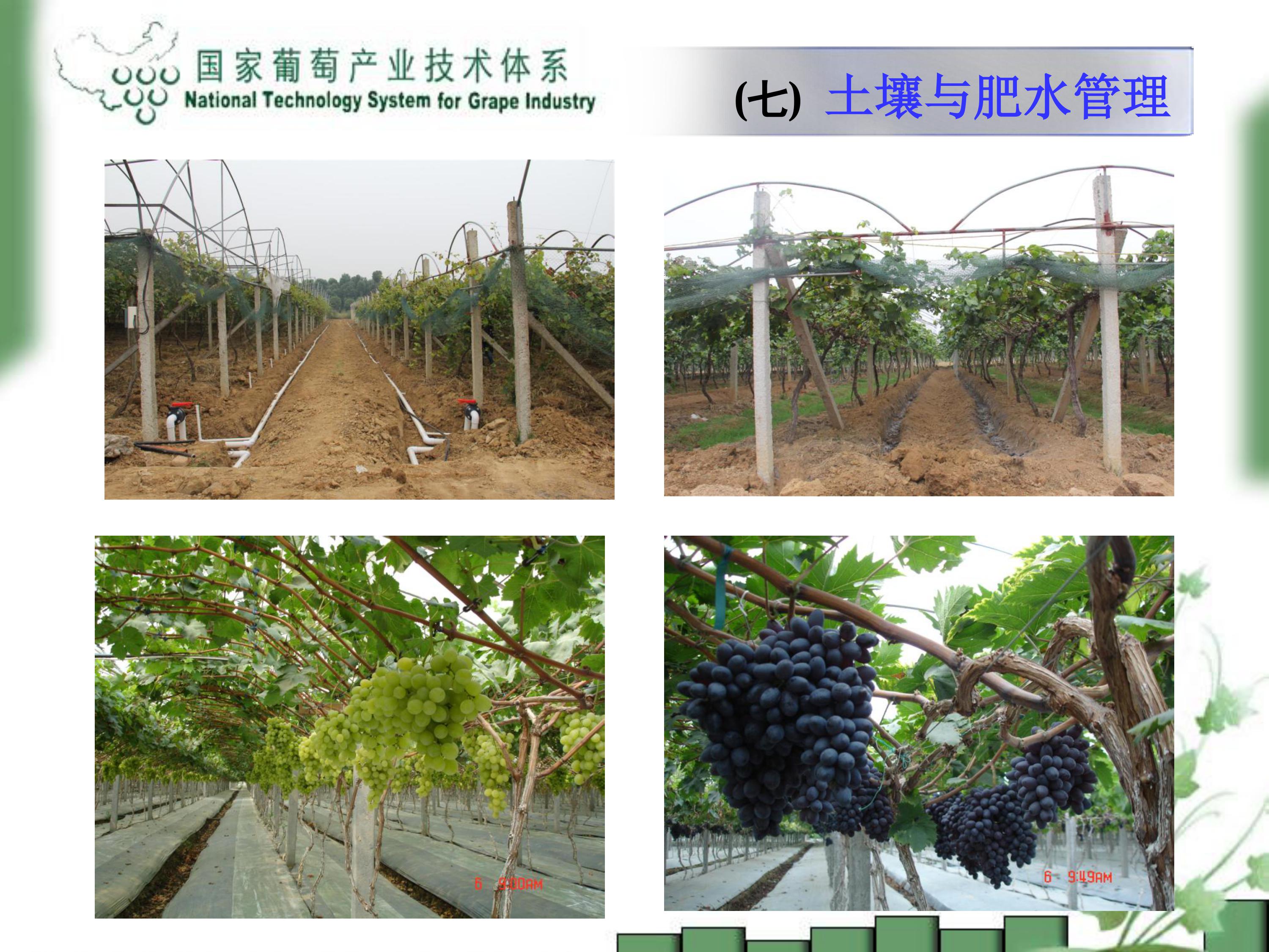 image-0037