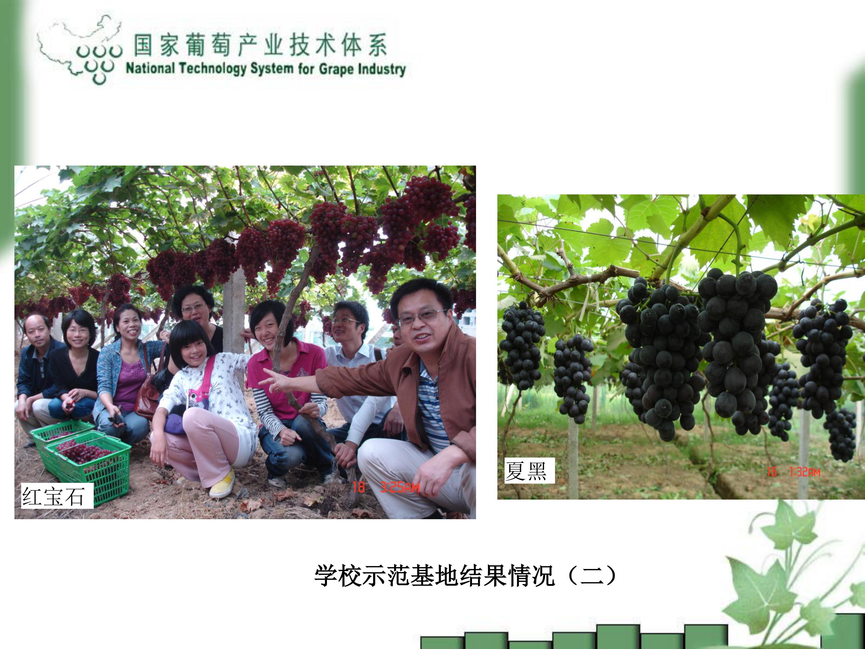 image-0039