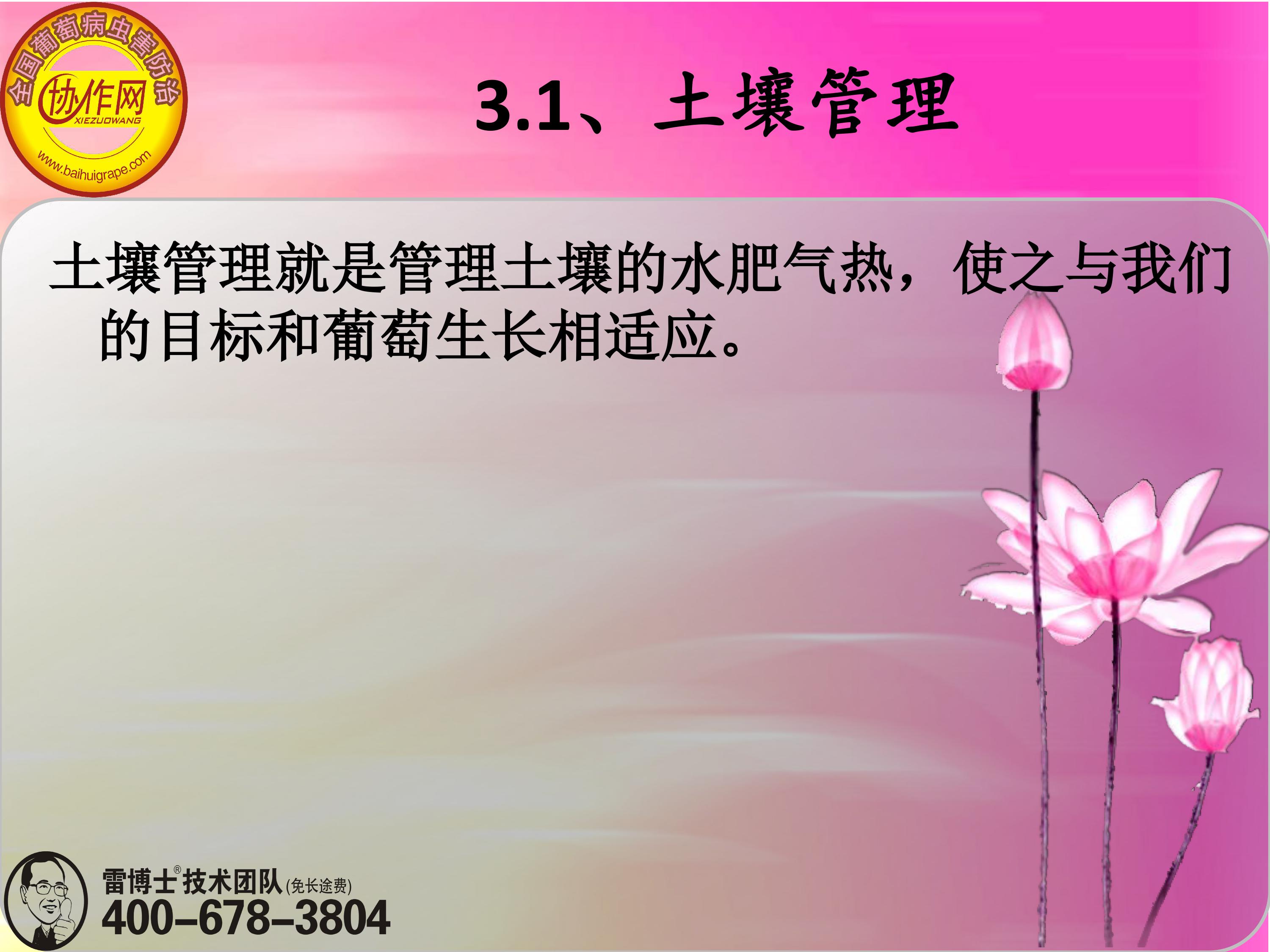 image-0044