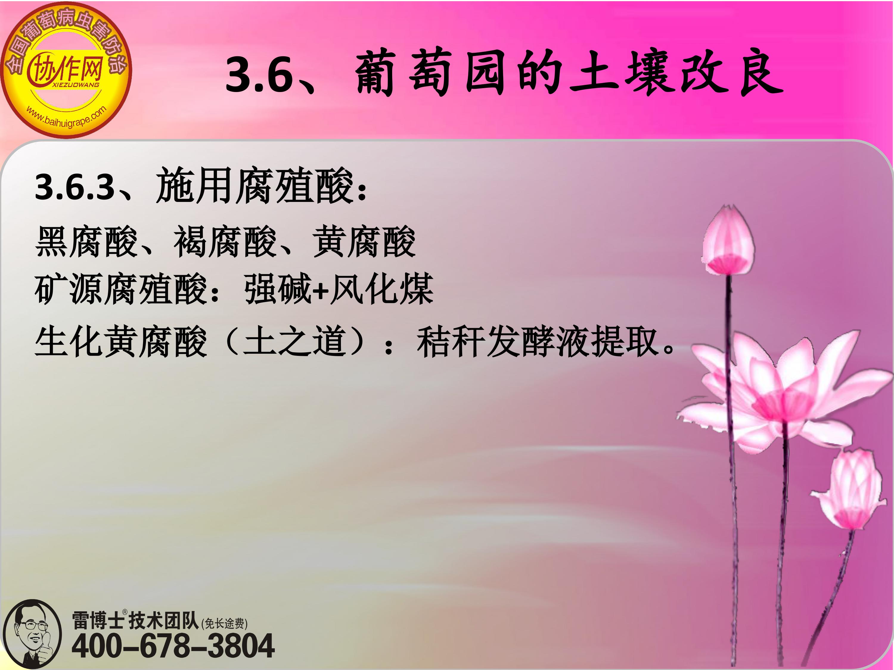 image-0069