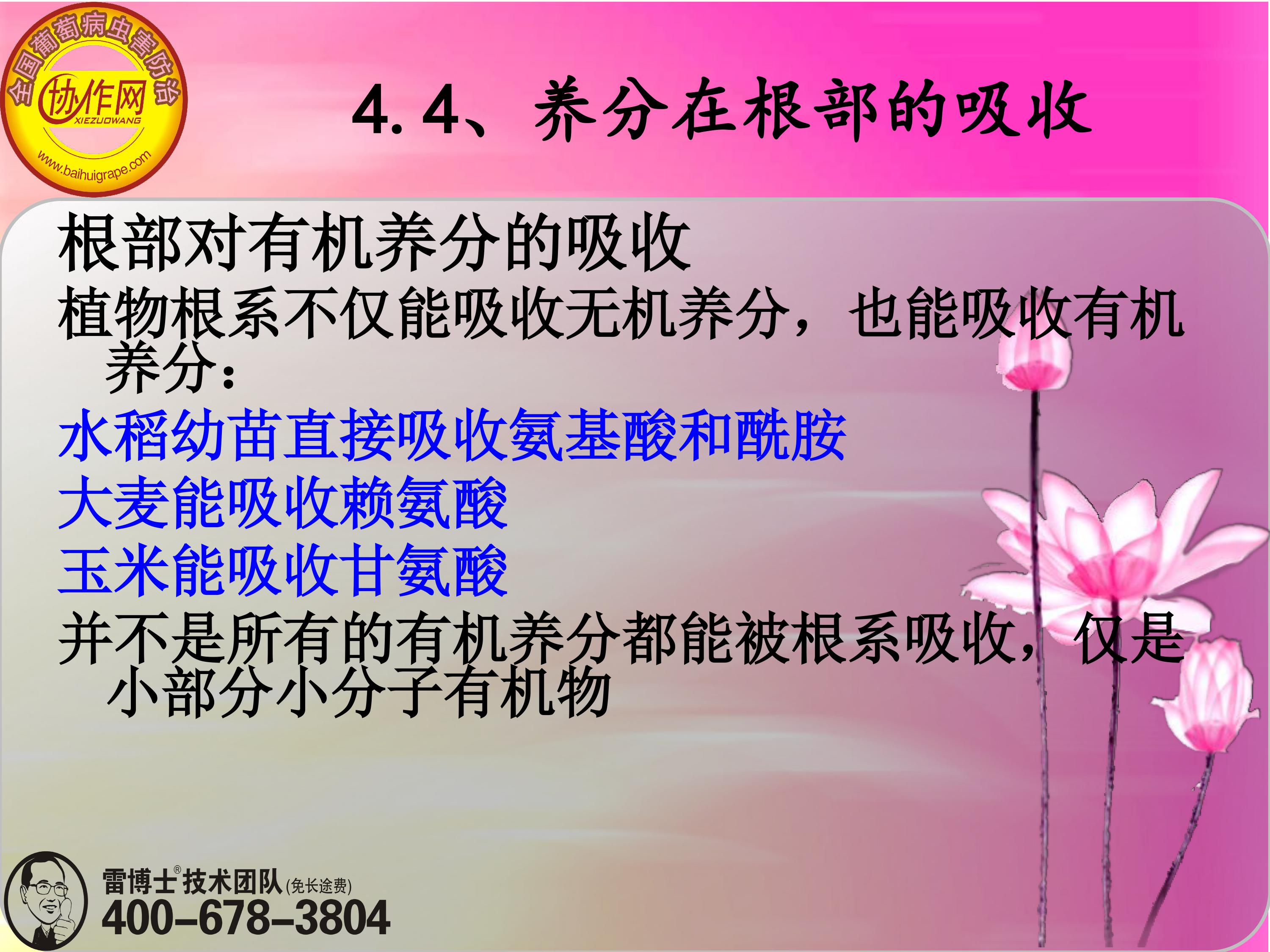 image-0098