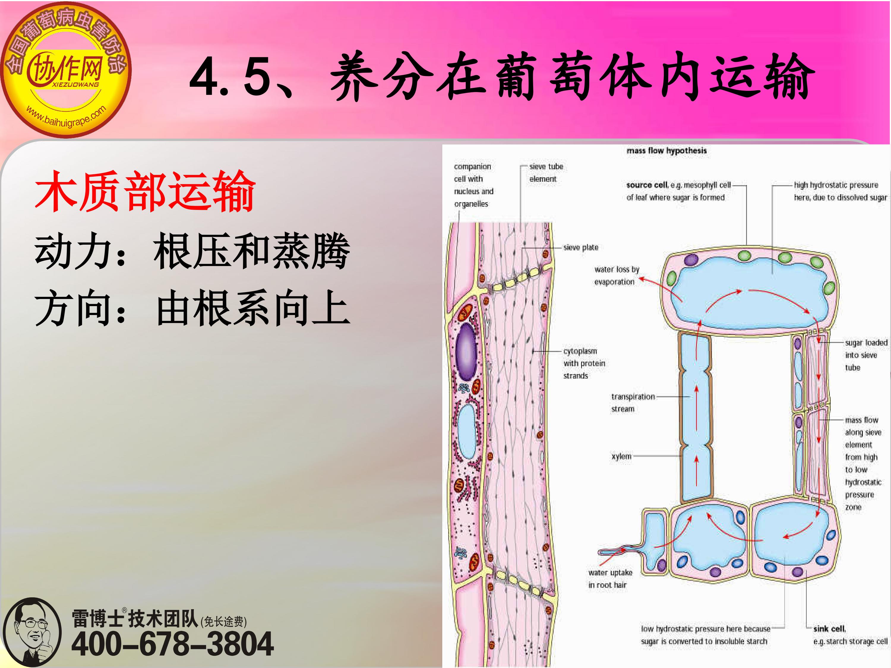 image-0116