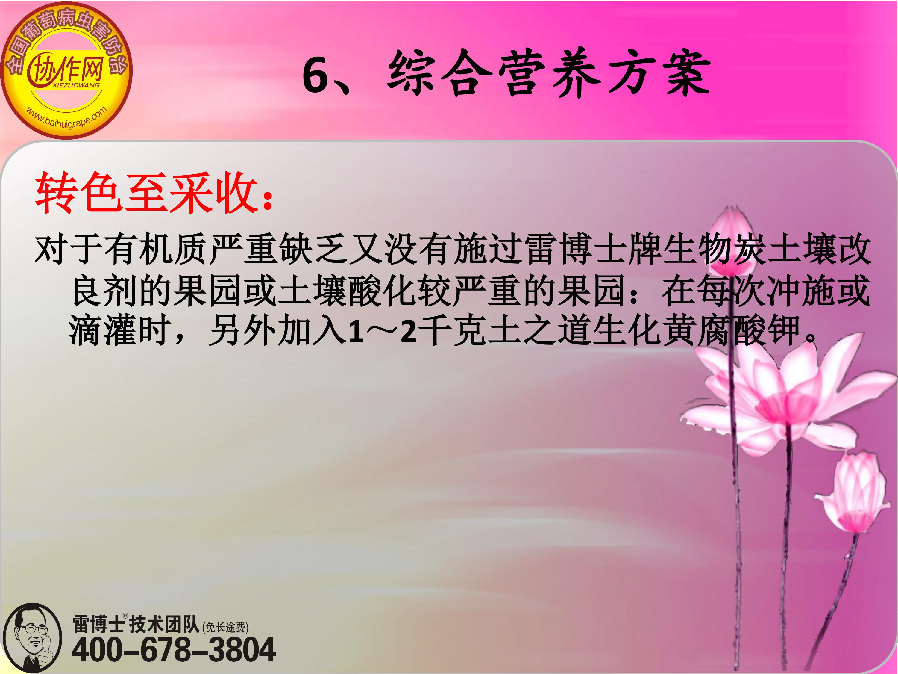image-0175