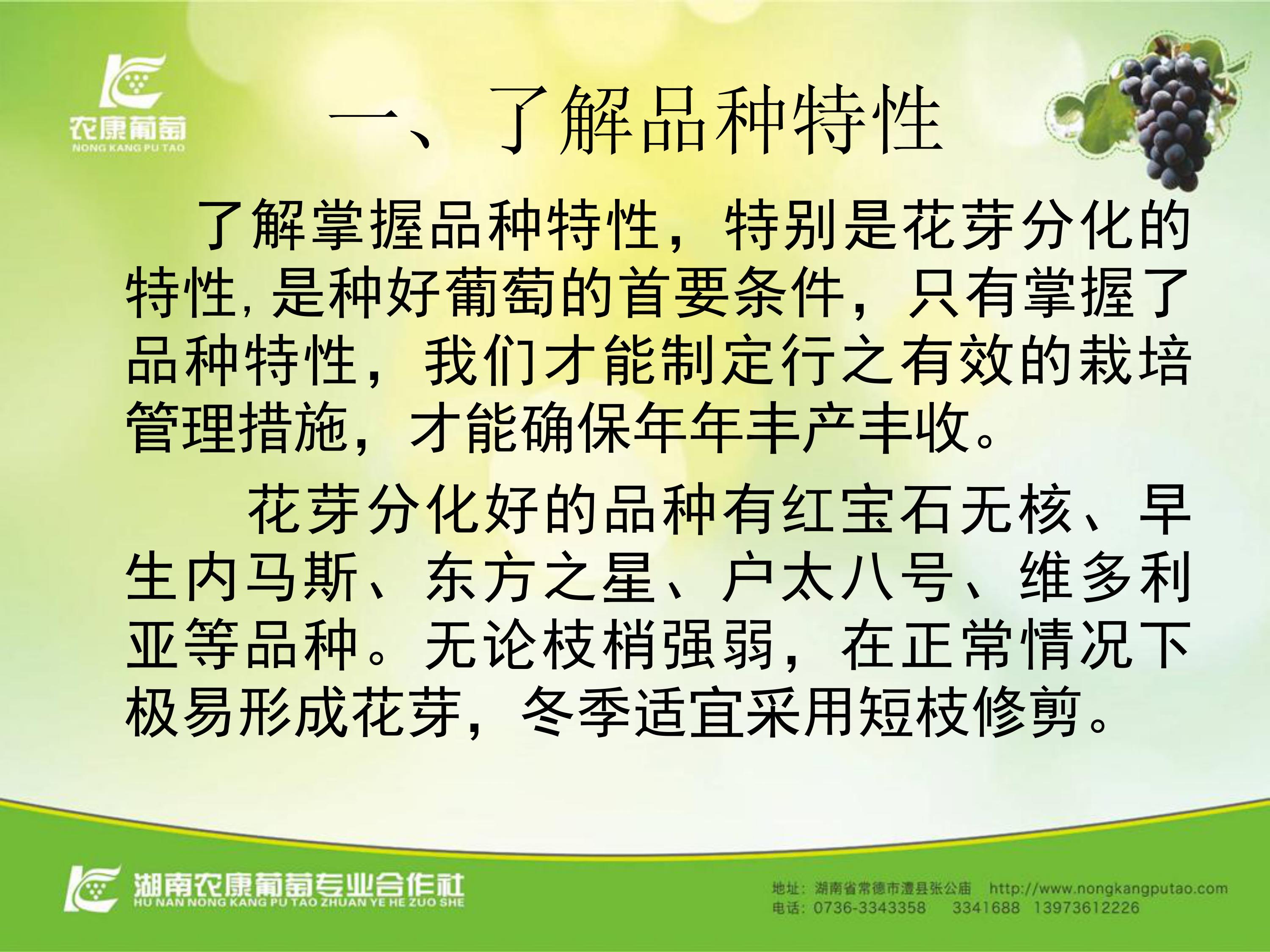image-0002