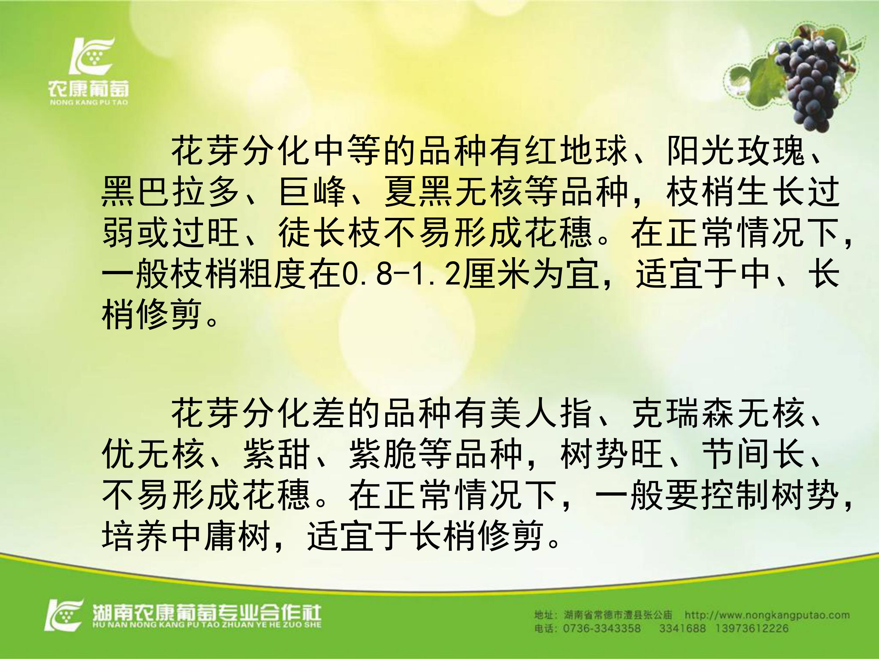 image-0003