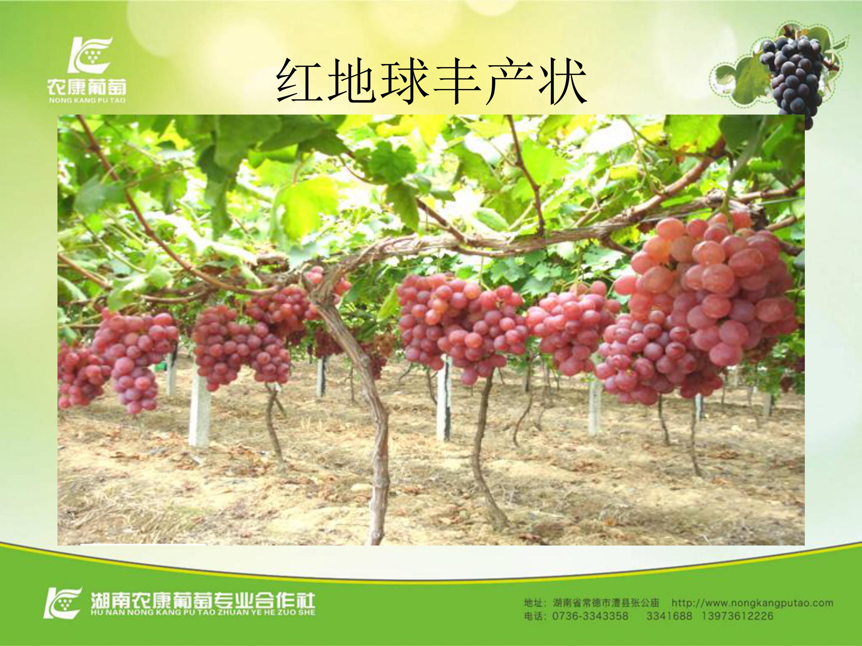 image-0004