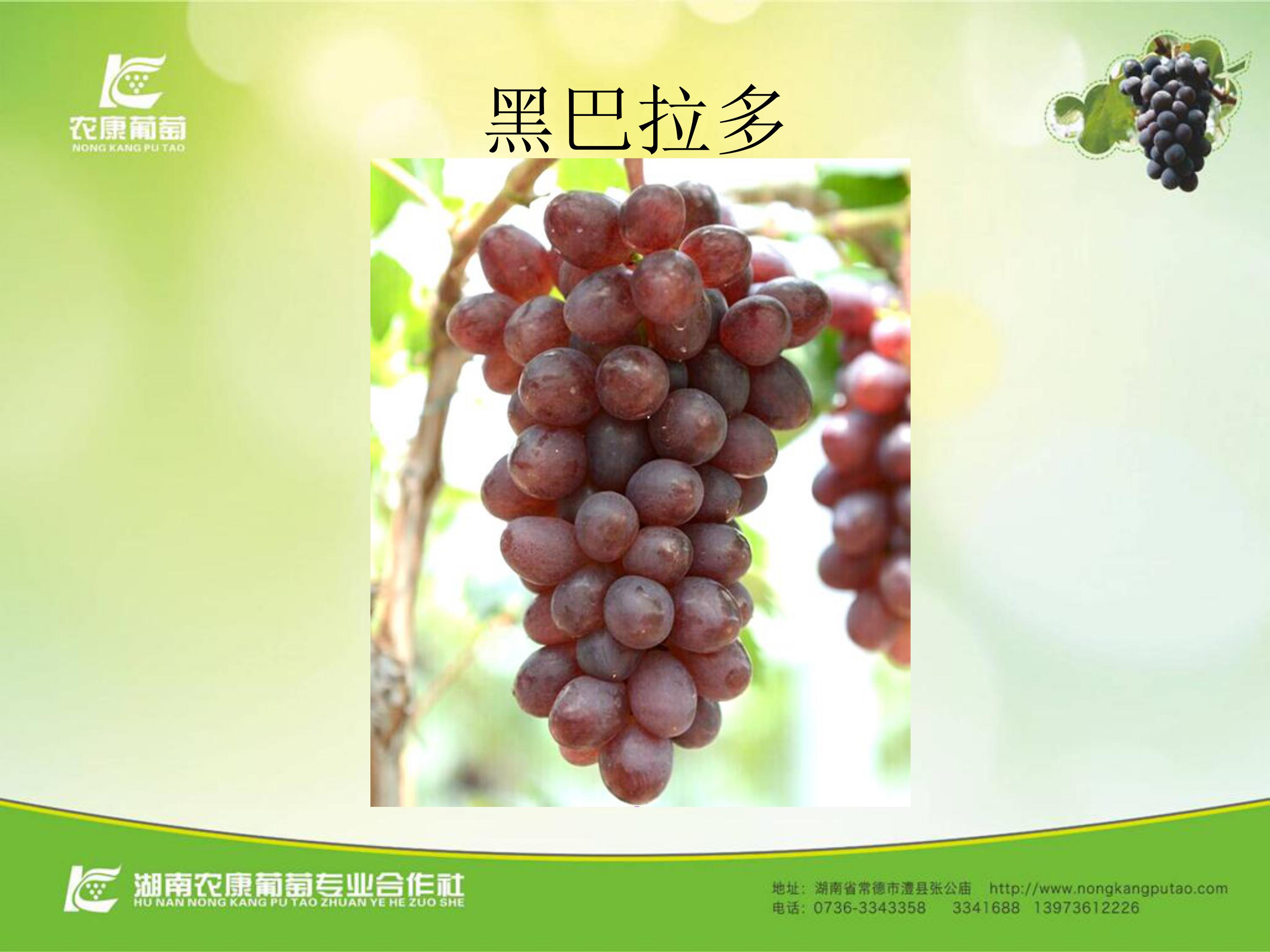 image-0005