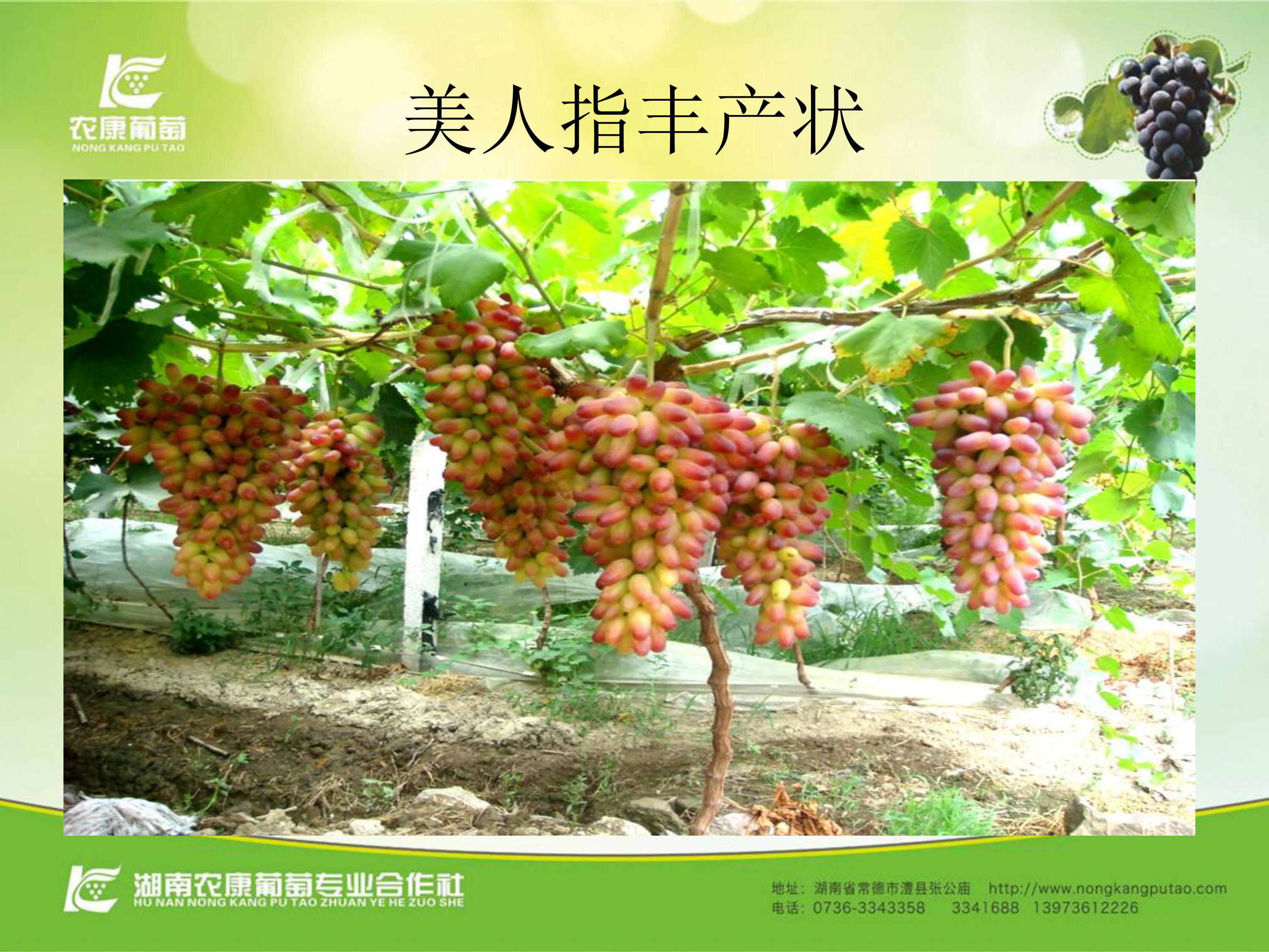 image-0006
