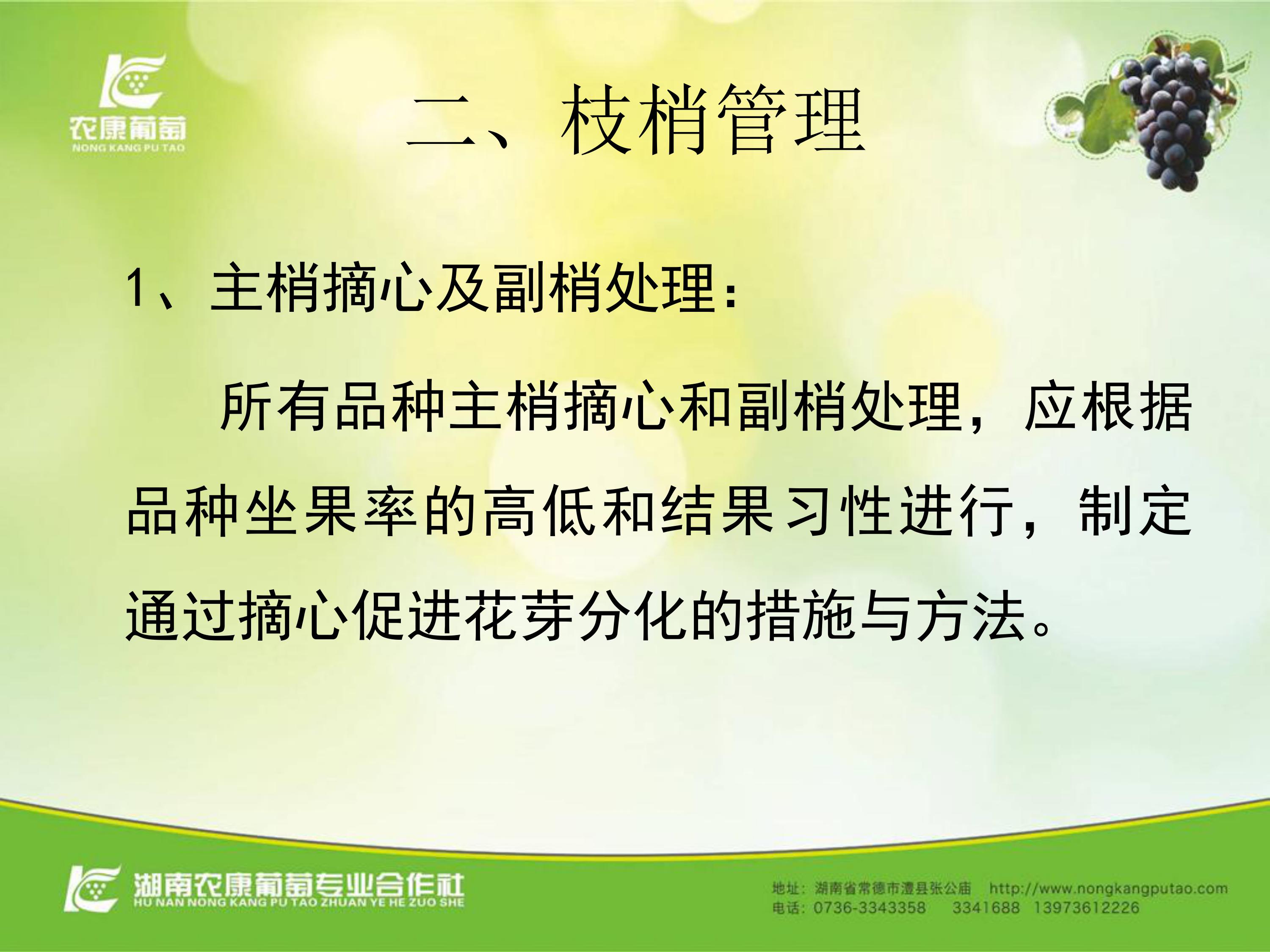 image-0008