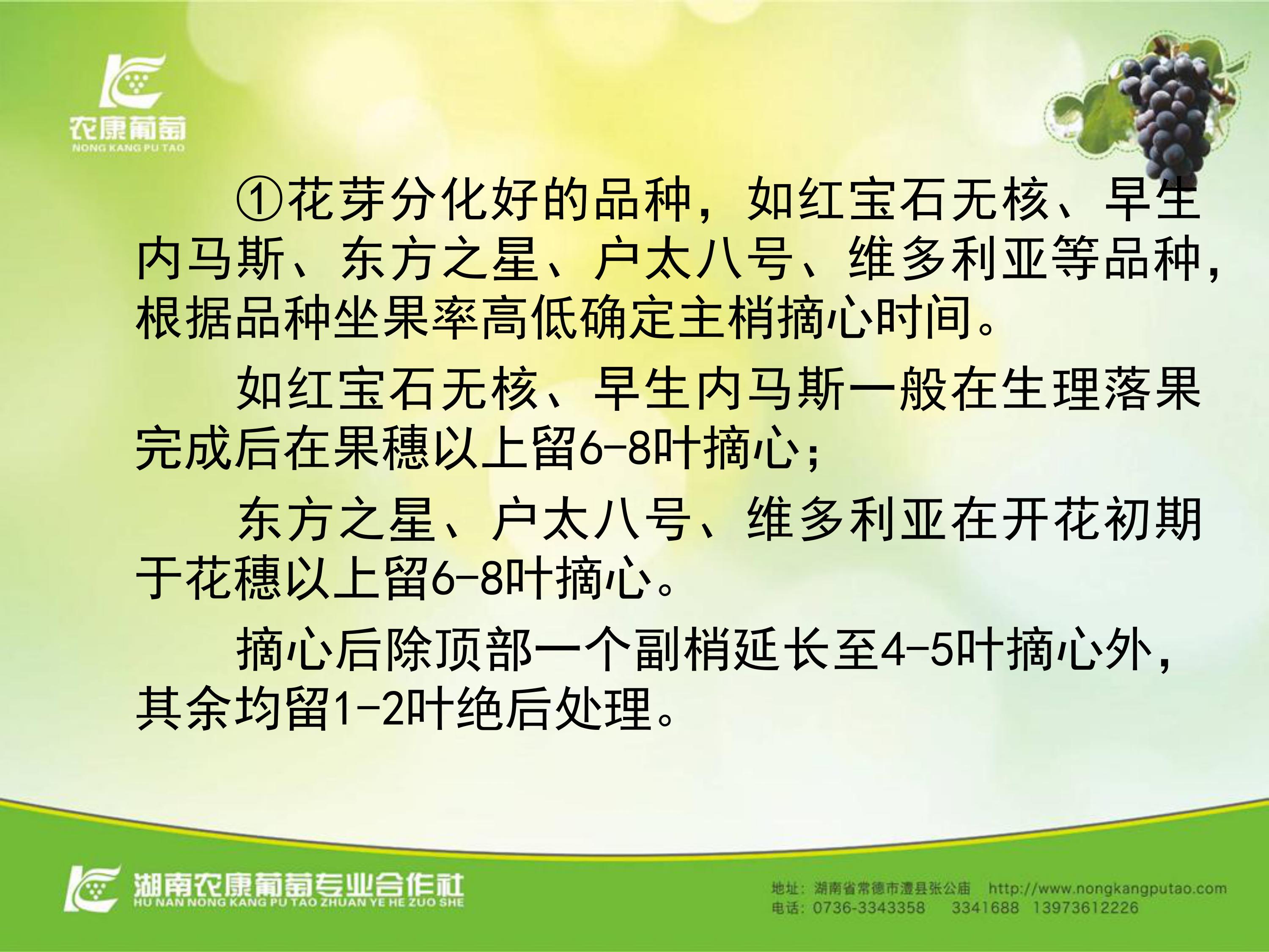 image-0009