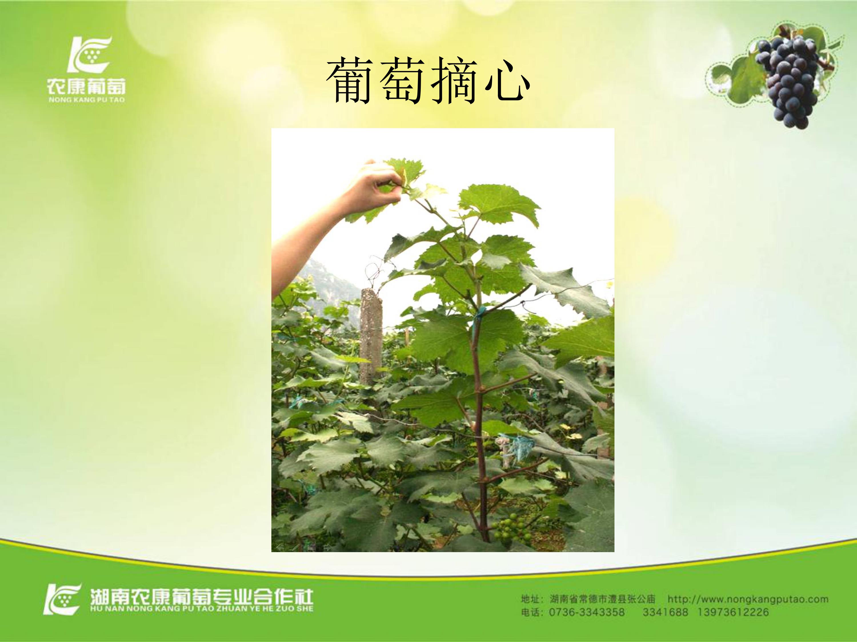 image-0010