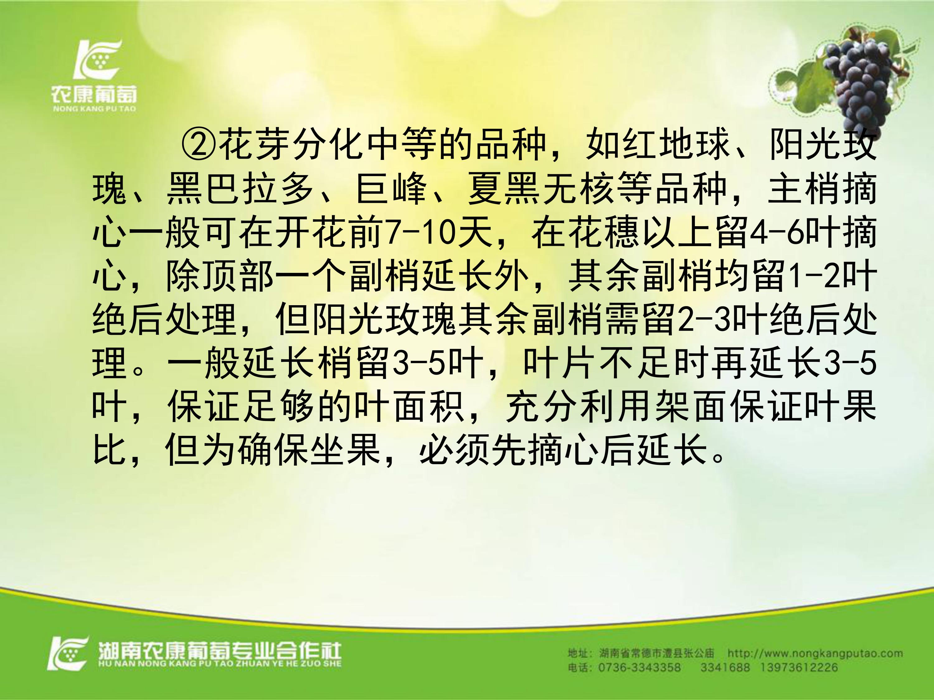 image-0012