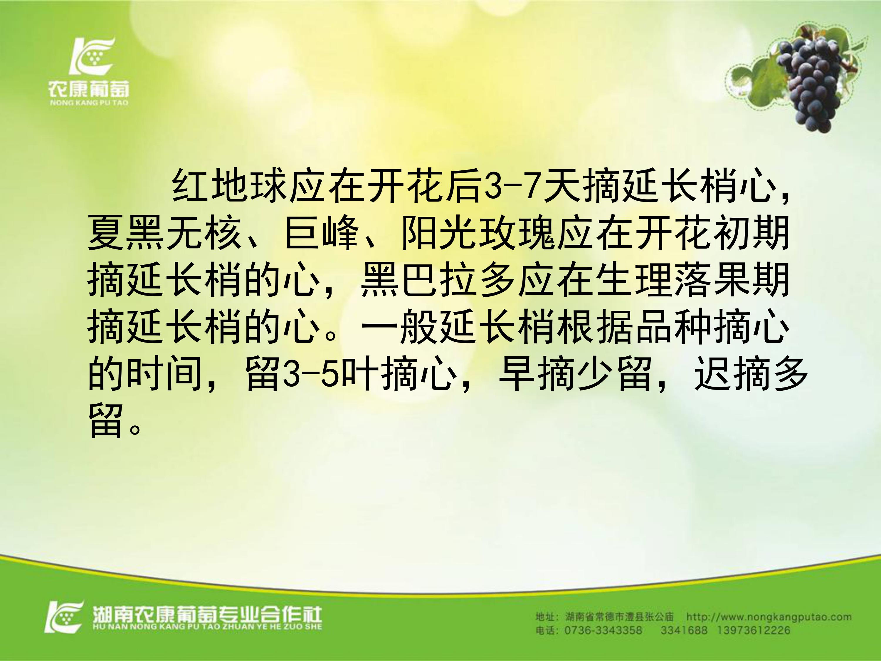 image-0013