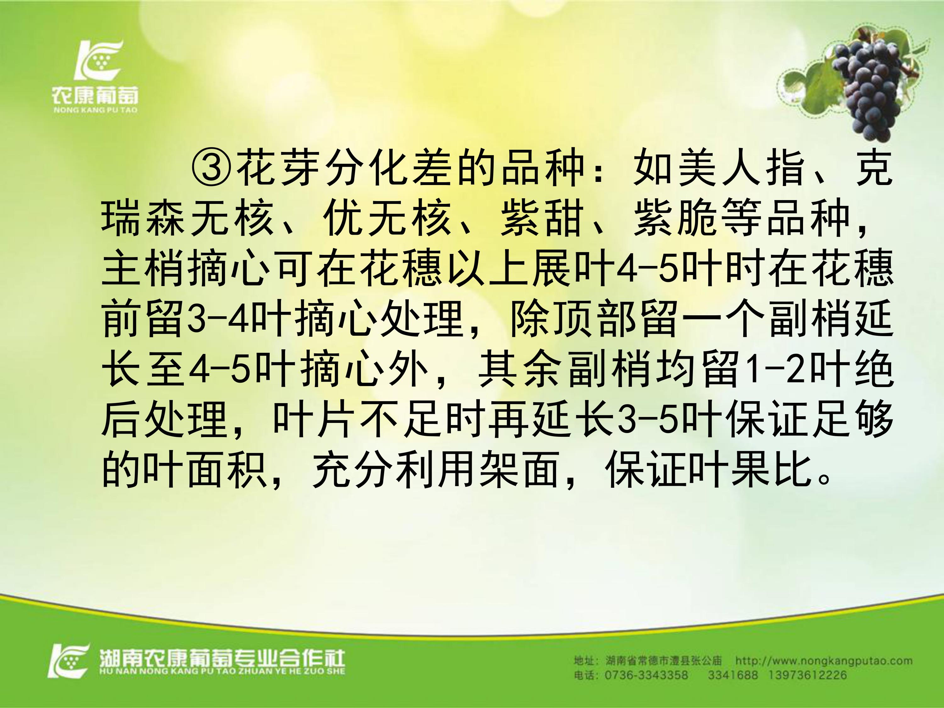 image-0014