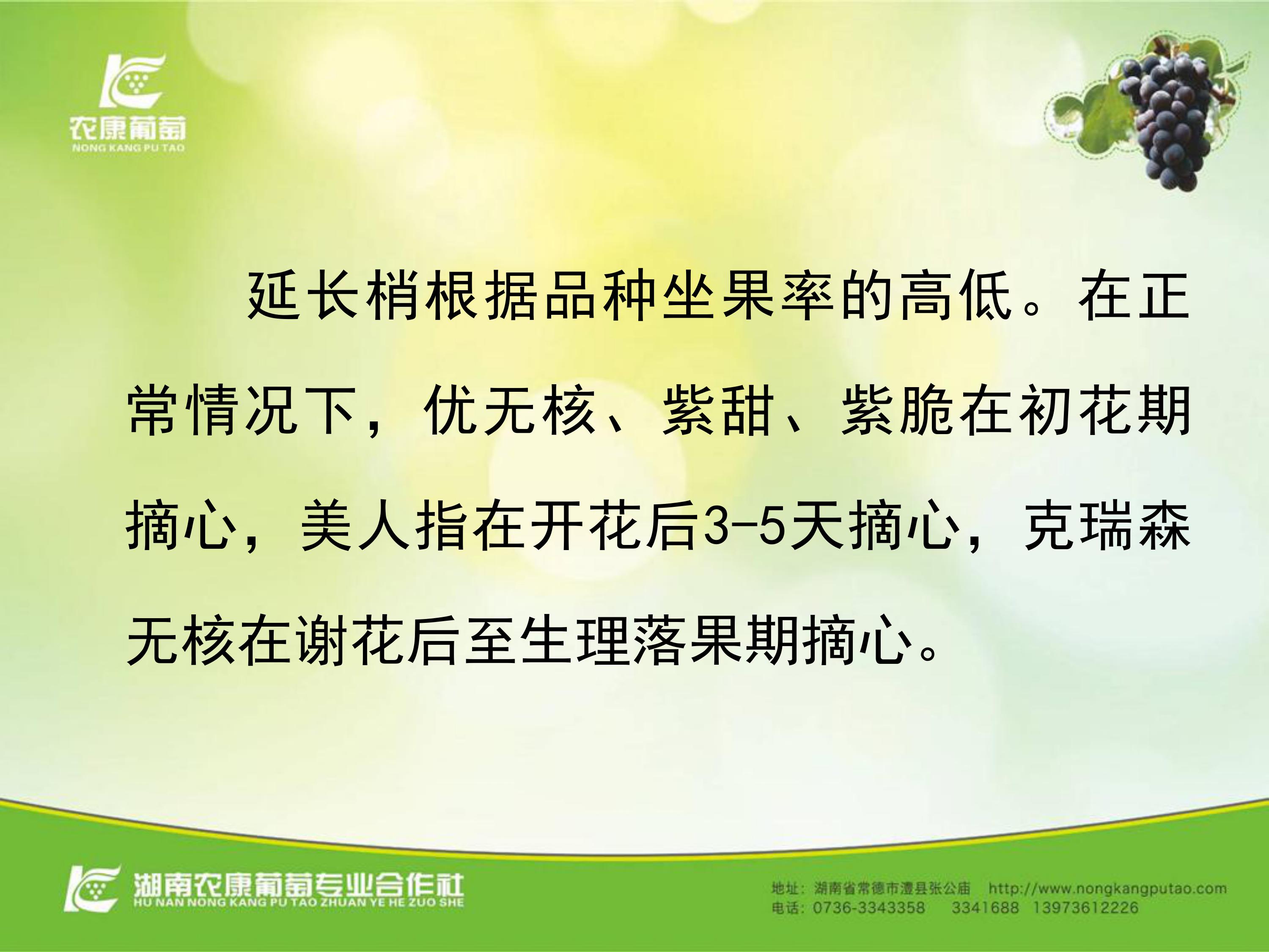 image-0015