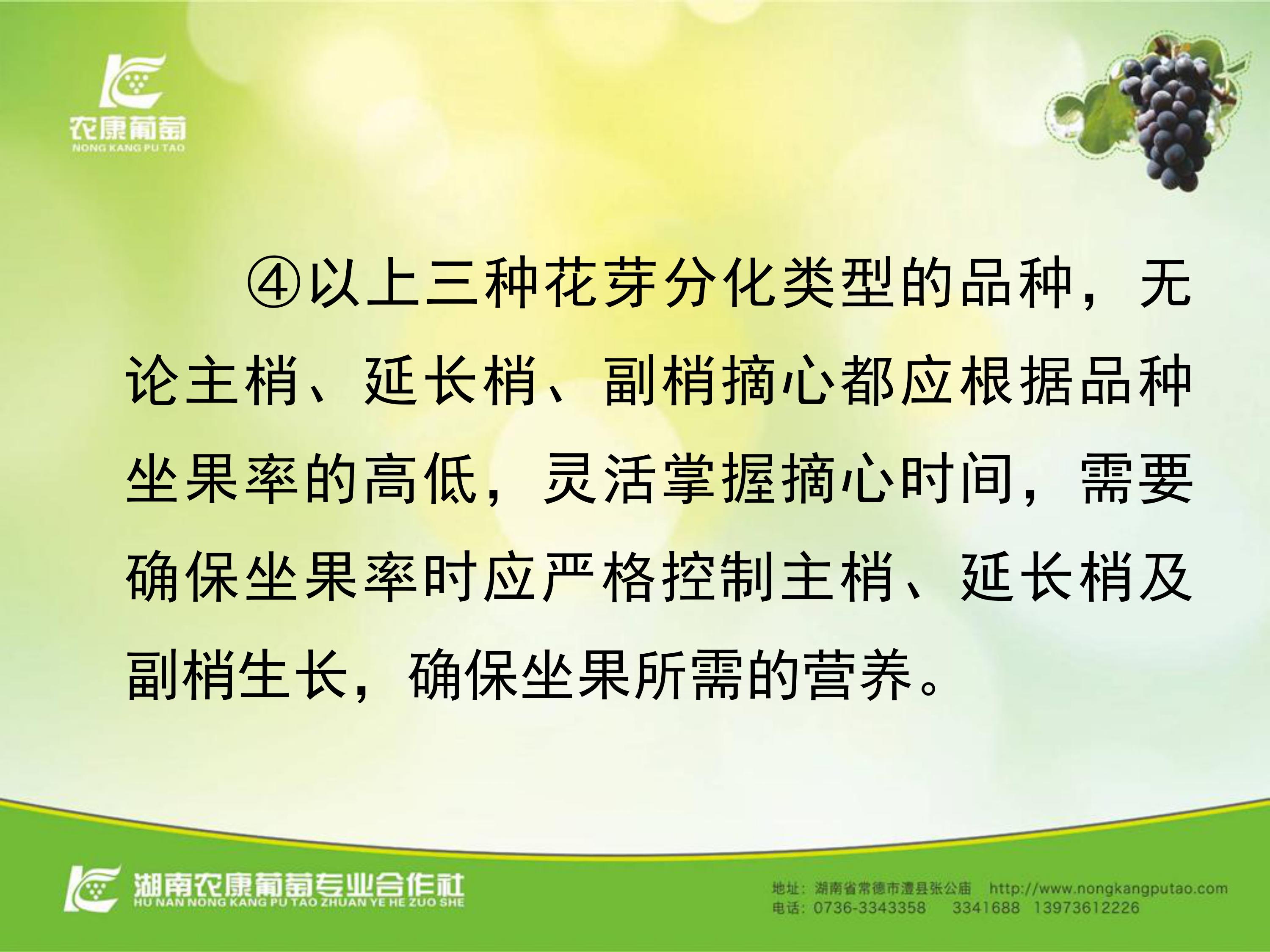 image-0017