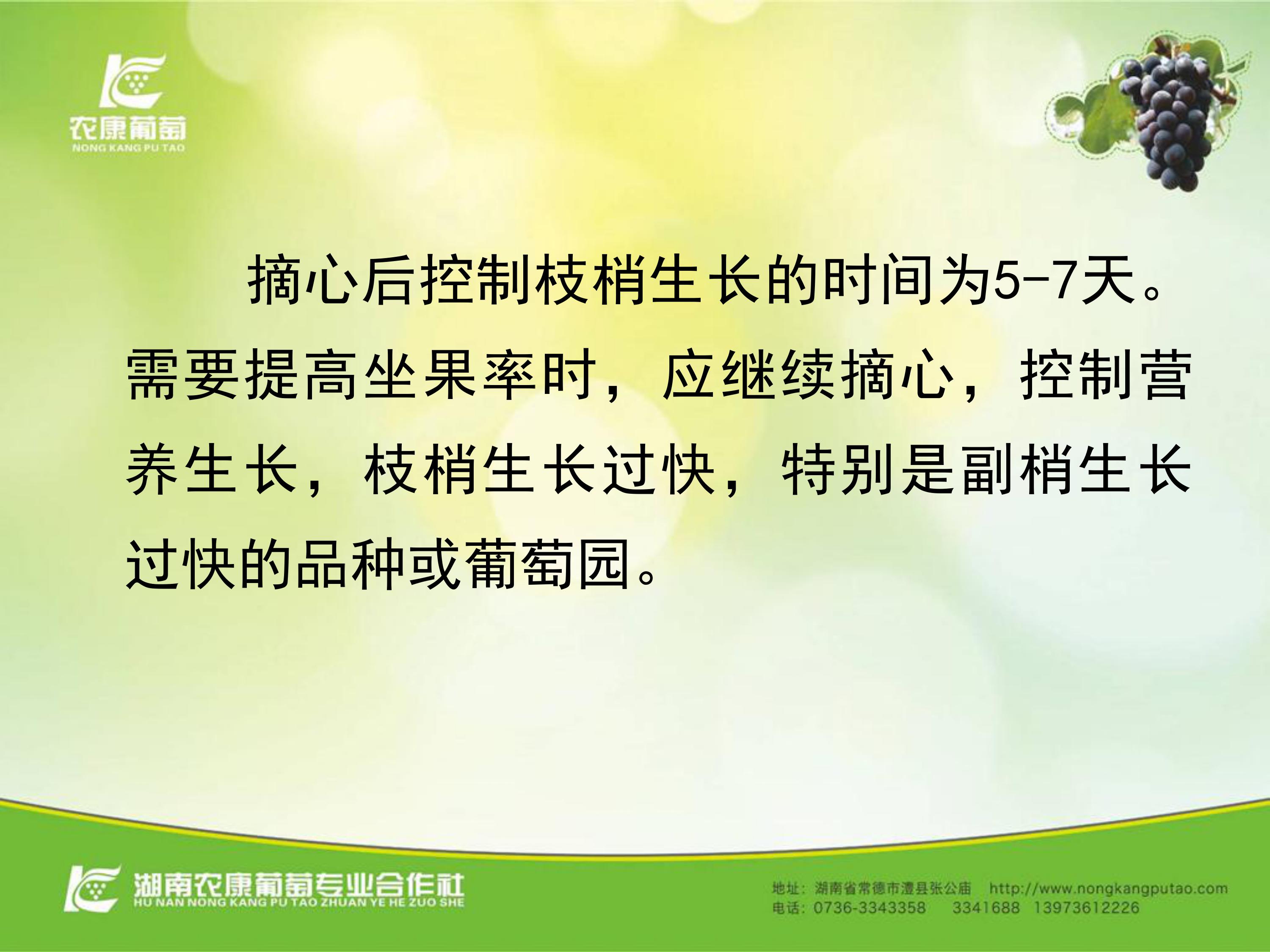 image-0018