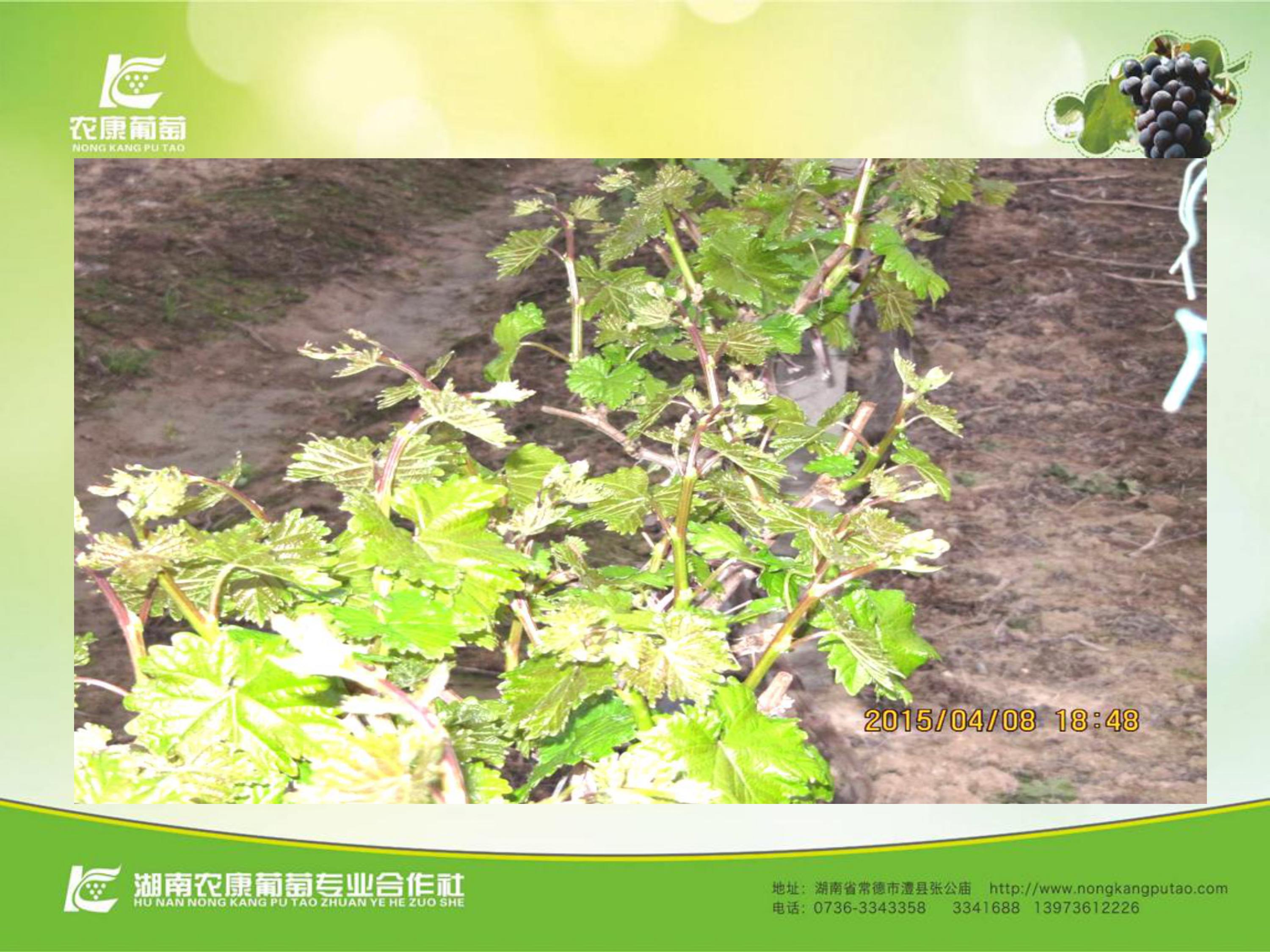 image-0022