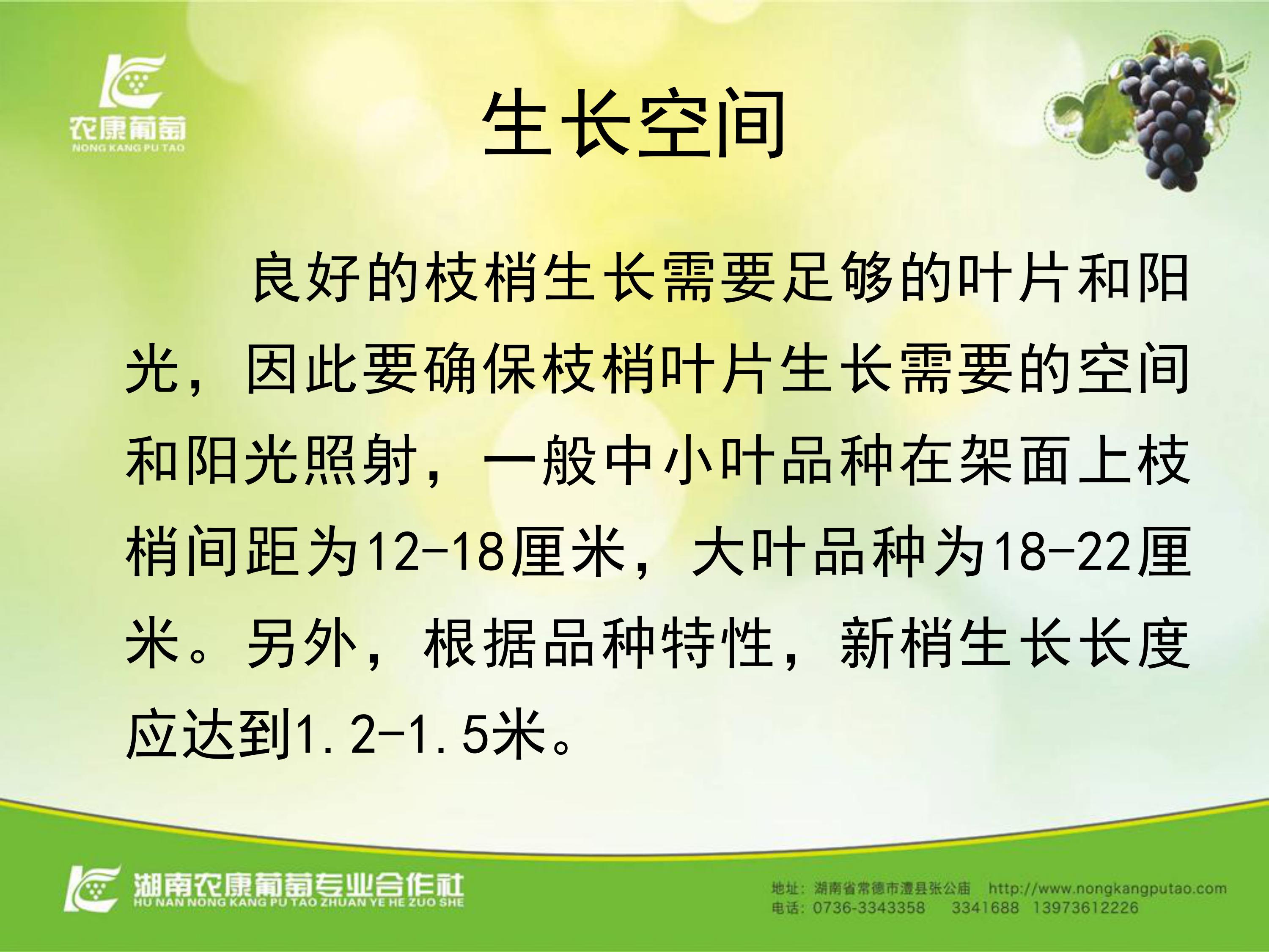image-0025