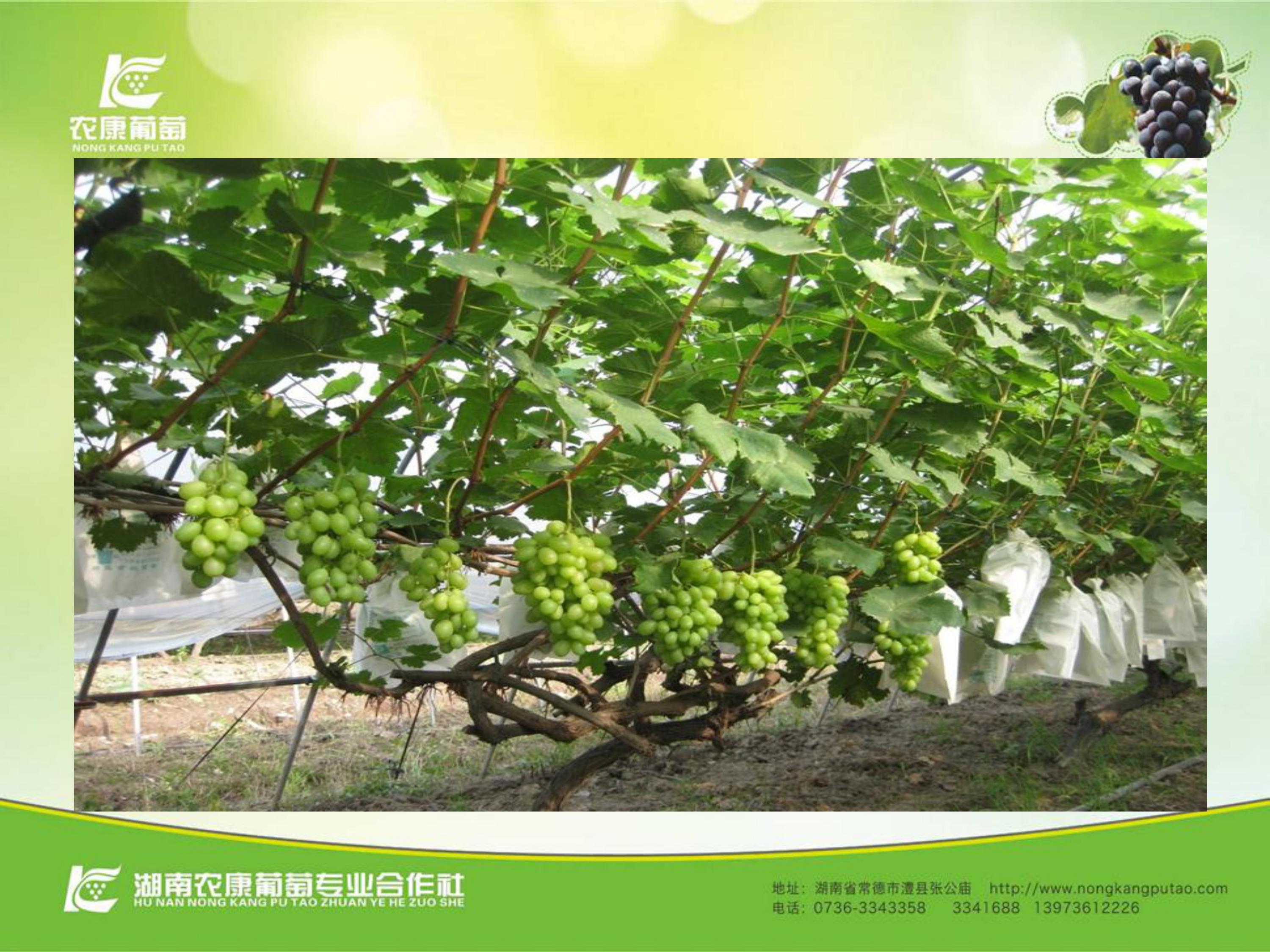 image-0026