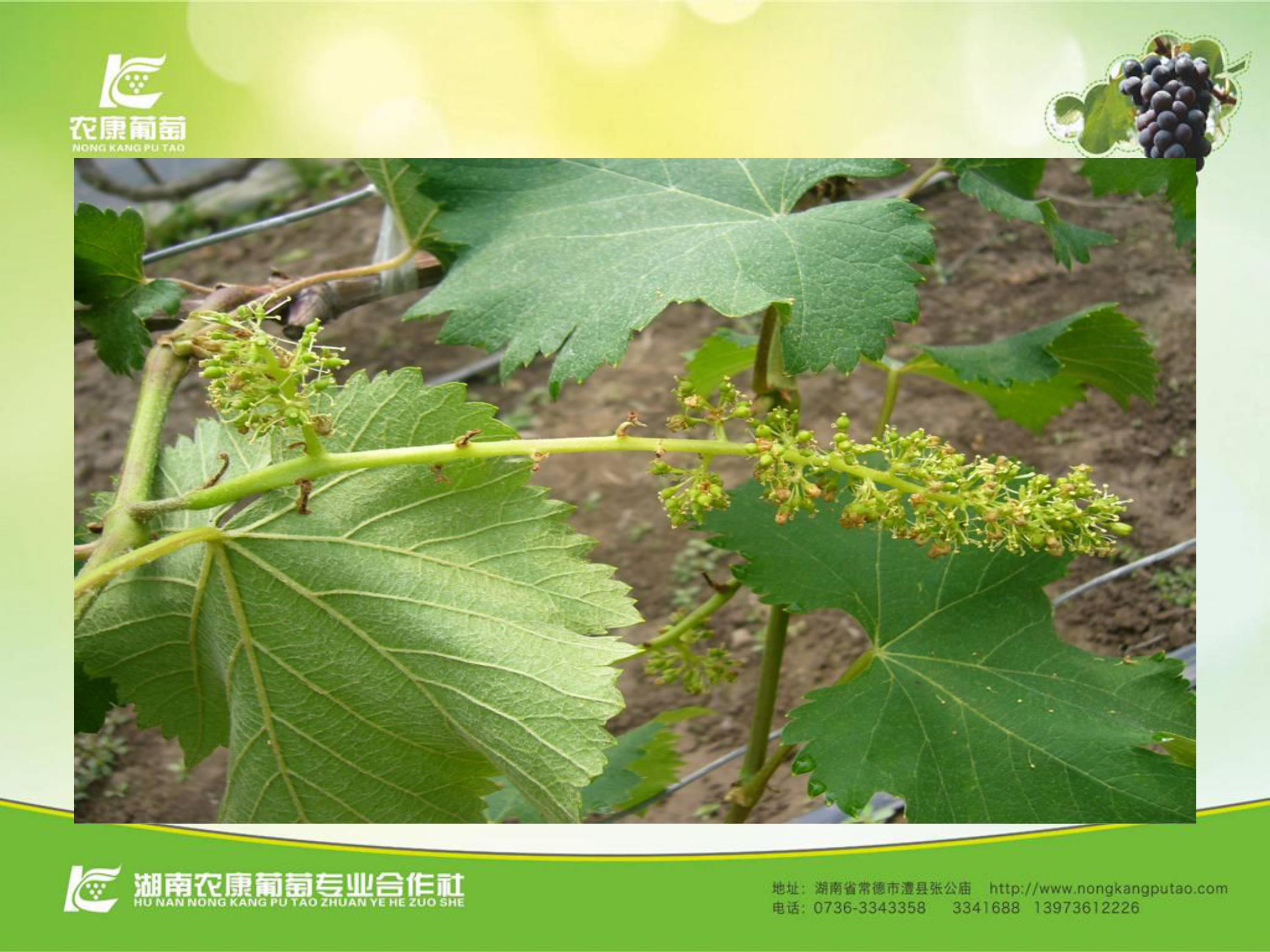 image-0030
