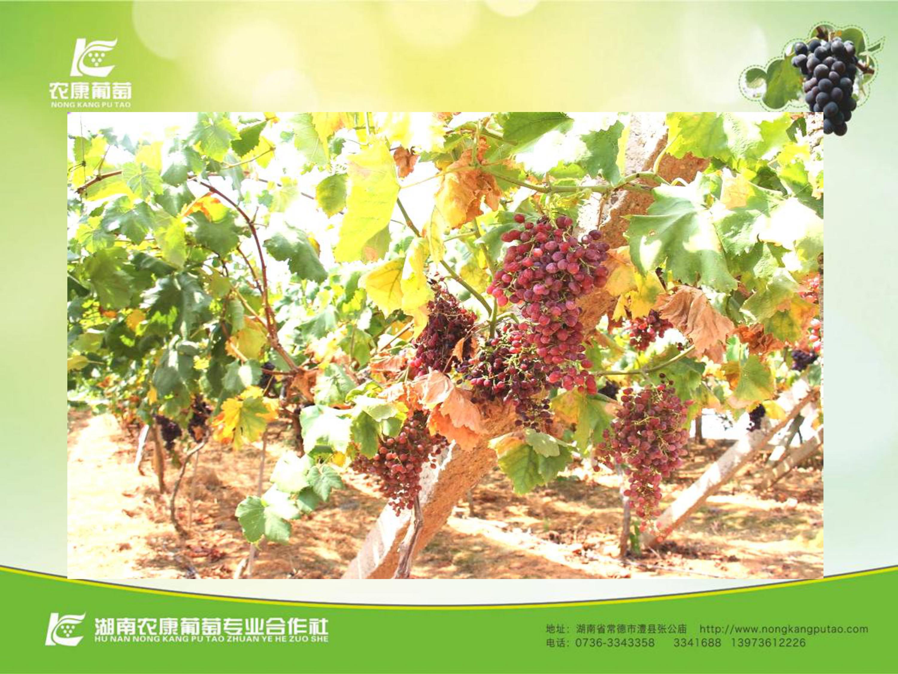 image-0033