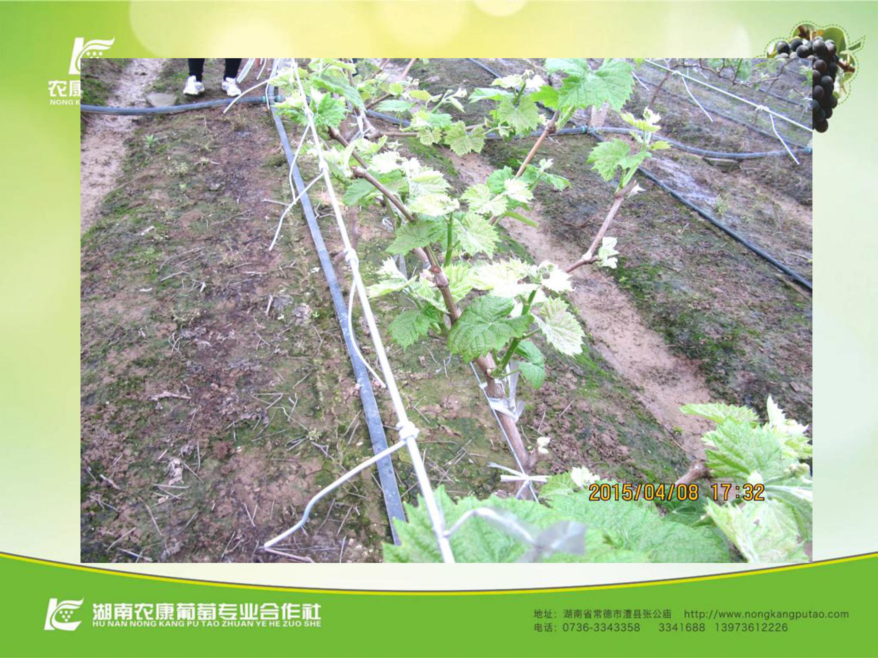 image-0039
