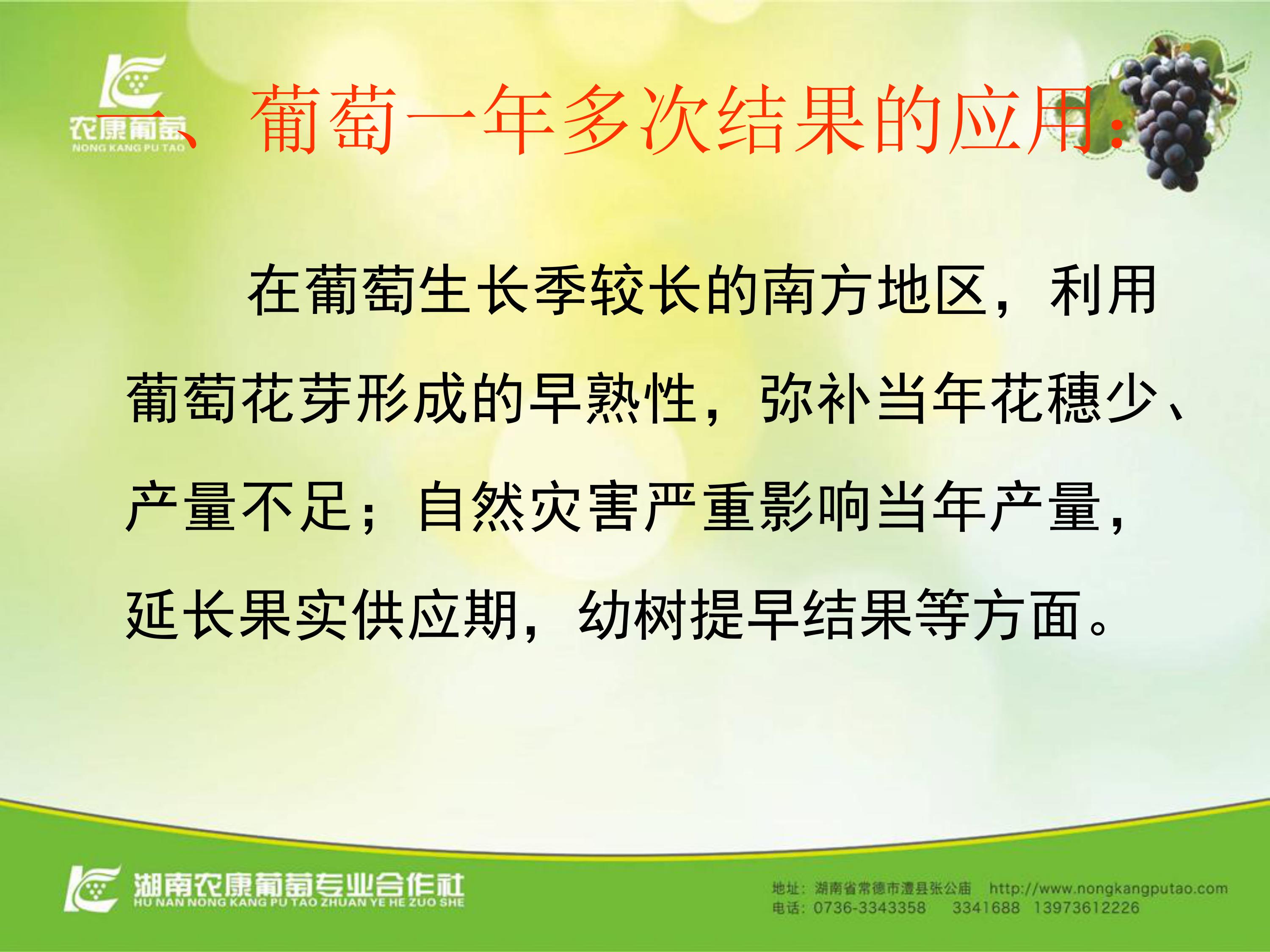 image-0042