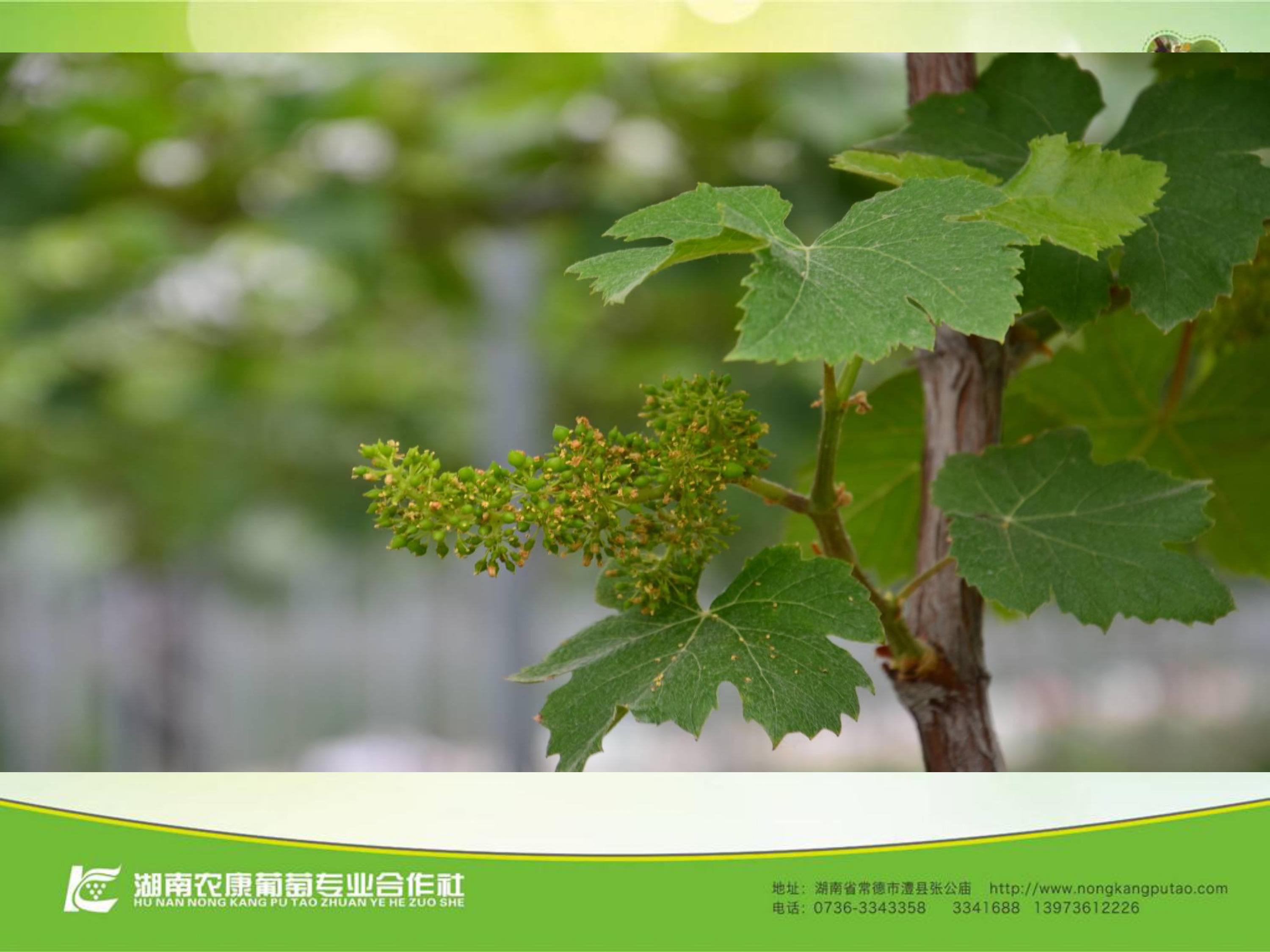 image-0045