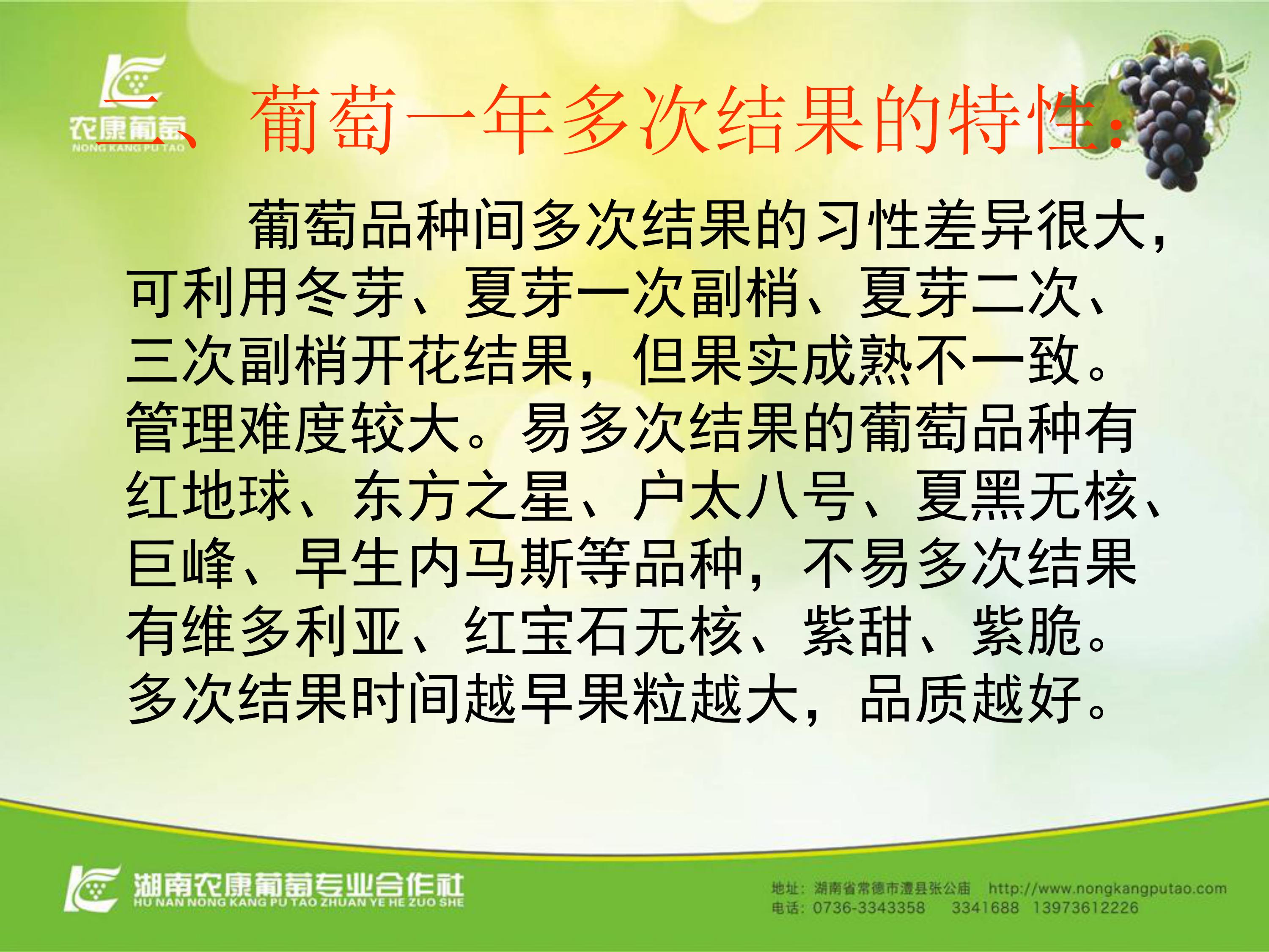 image-0046