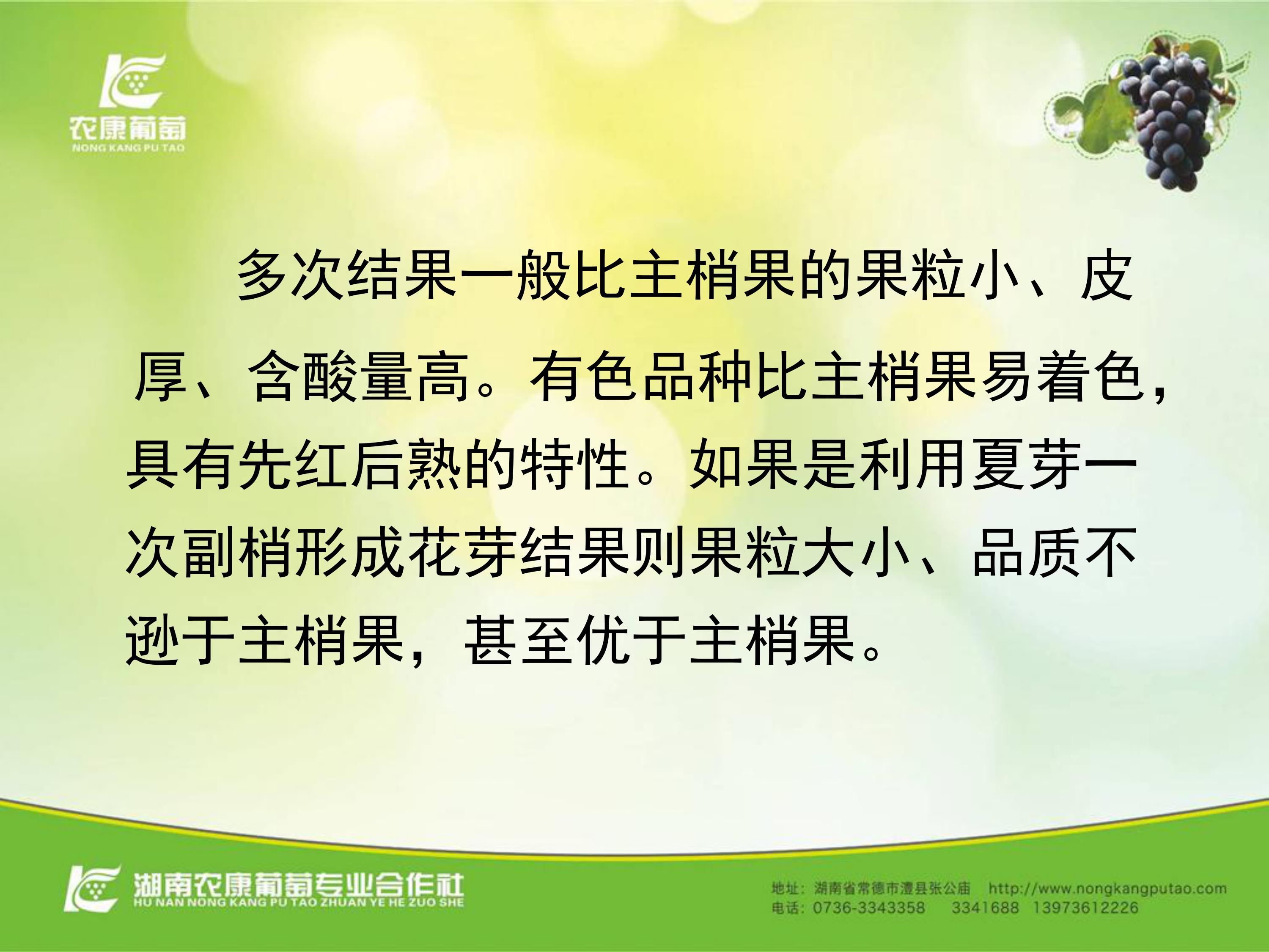 image-0047