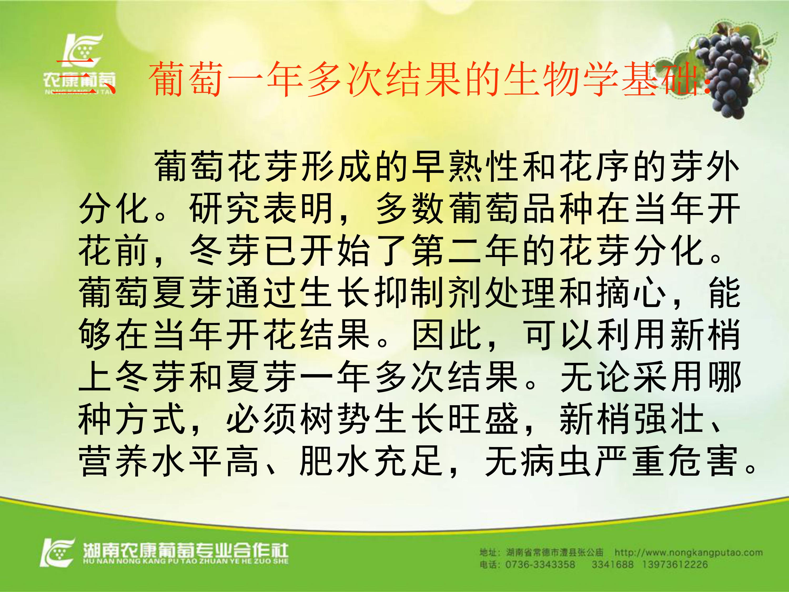 image-0048