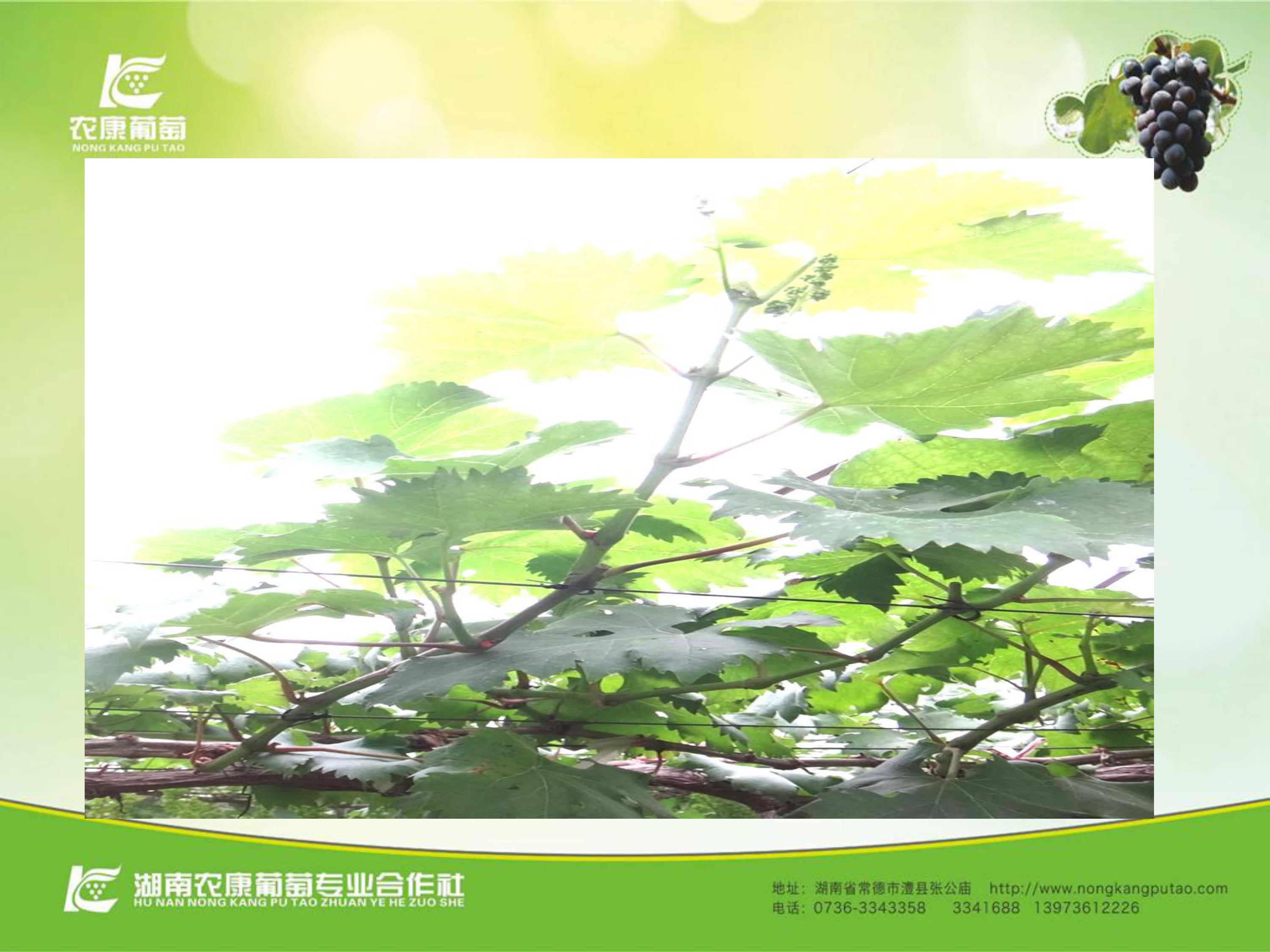image-0061