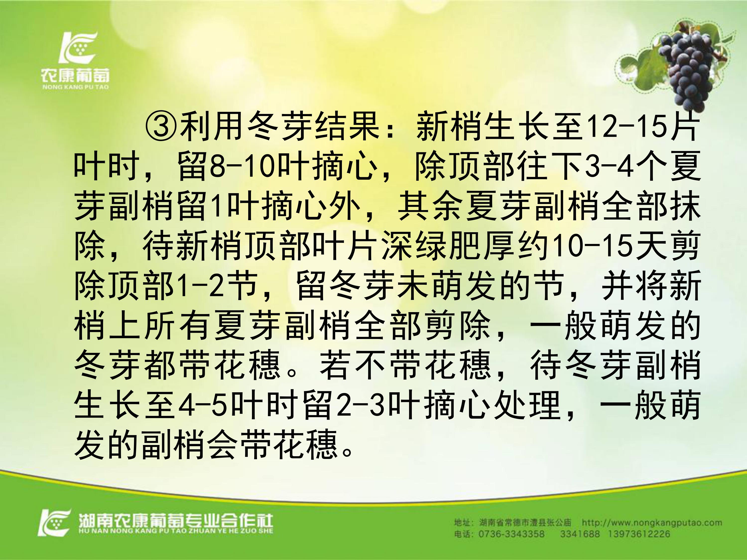 image-0063