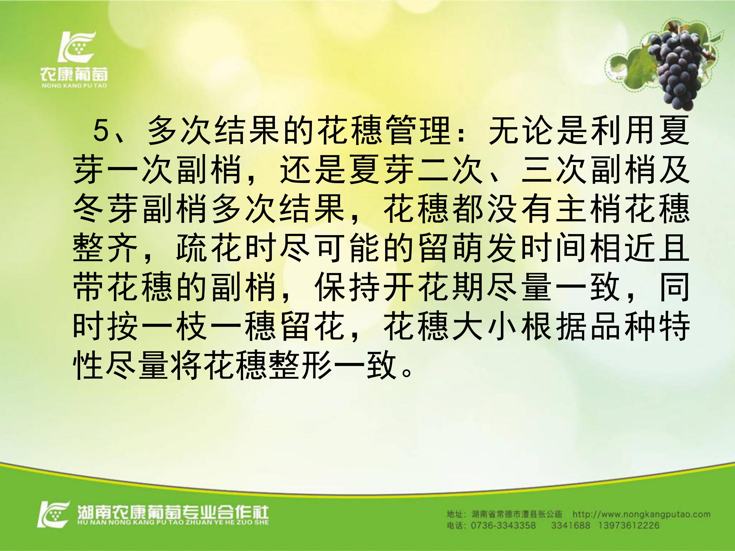 image-0065