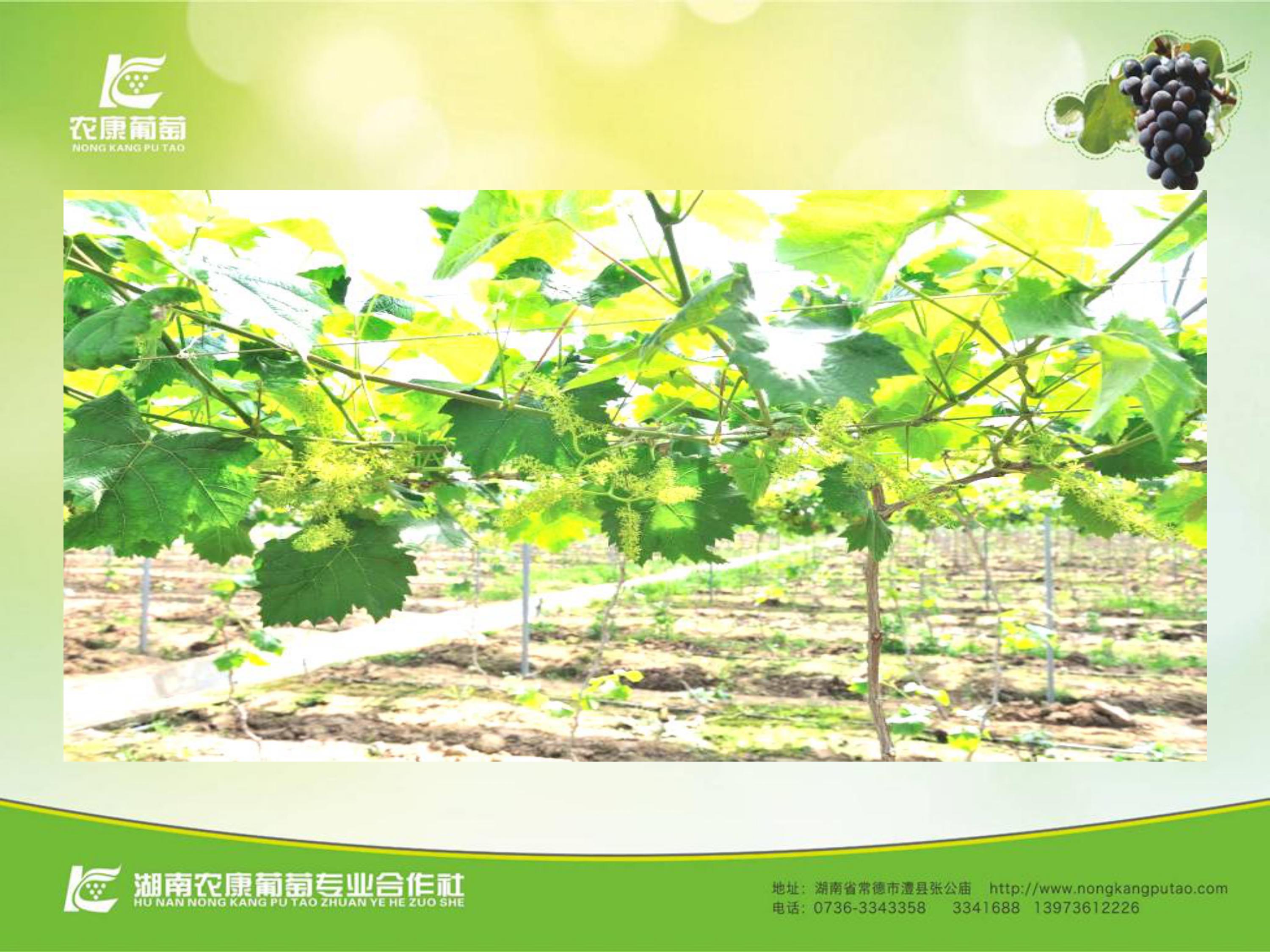 image-0066