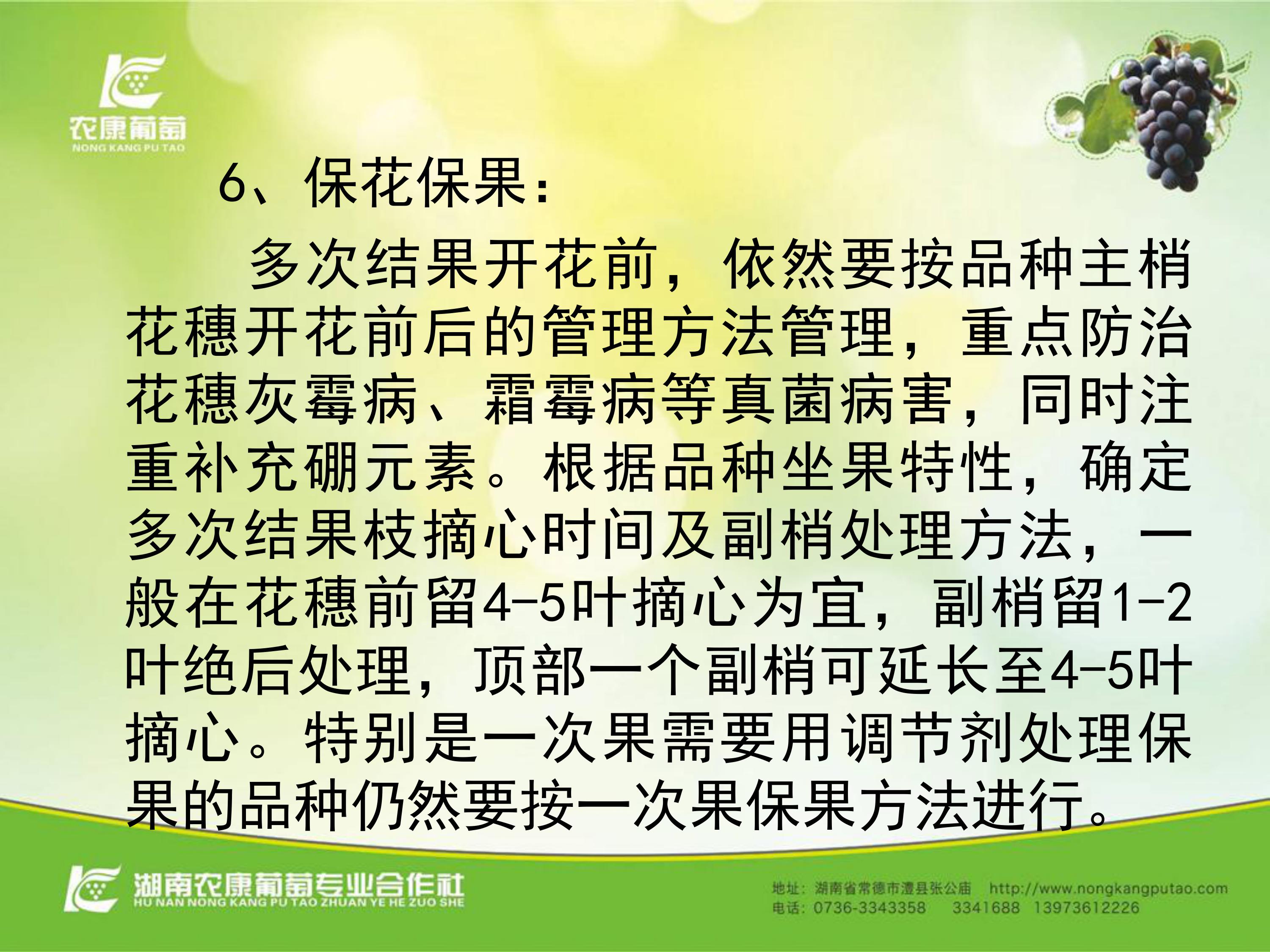 image-0067